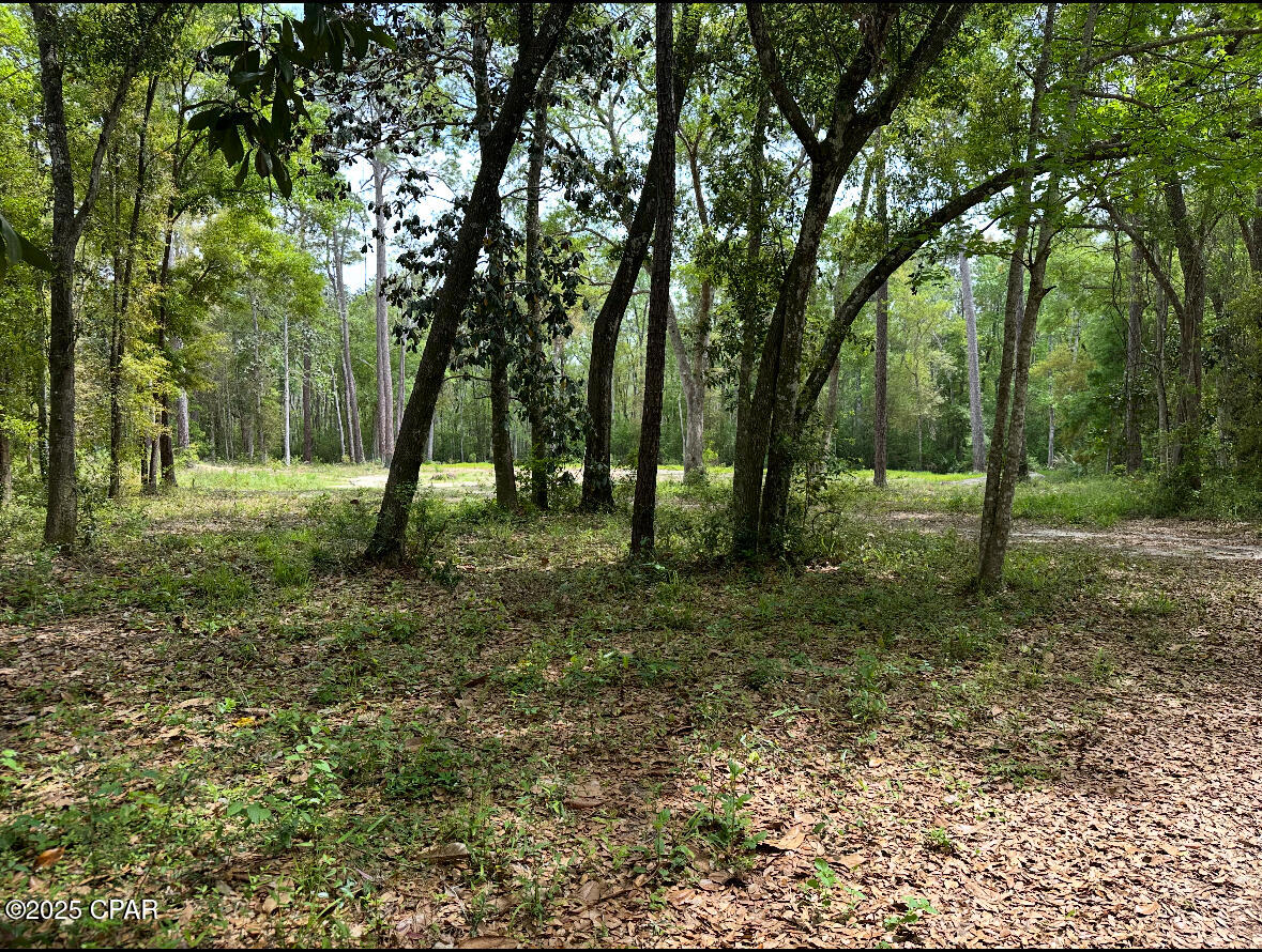 Zm_6zzcpclod45dciqv_8xwvohijypmyhrwfh3fwltq