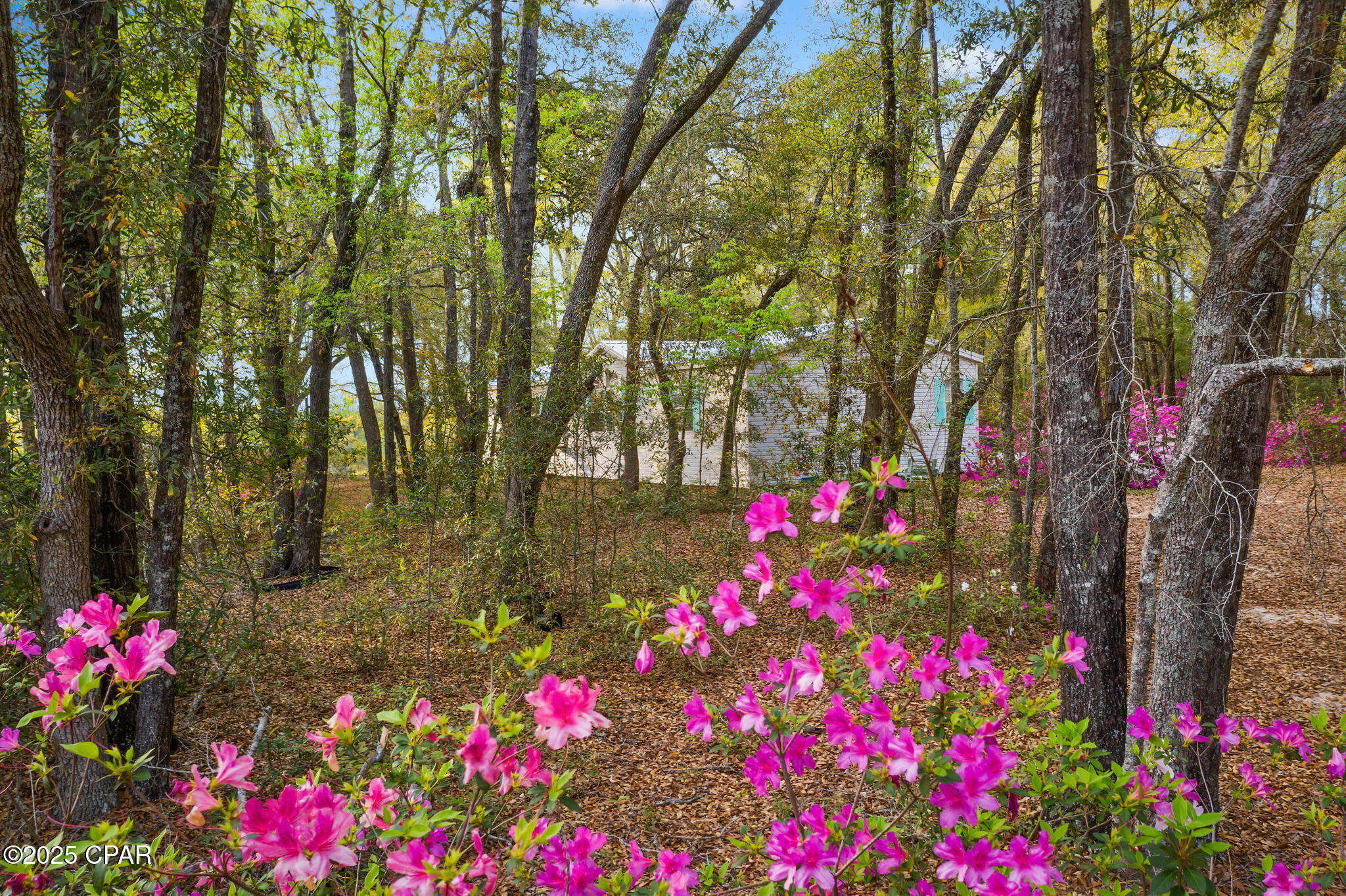 I Bijfmv21ywxtwyndl2h Pugecfwkackmjm1tb Ixq