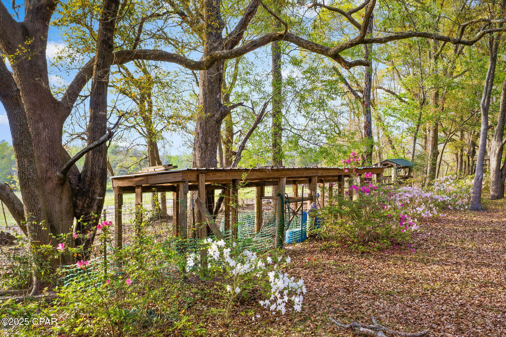 Qcko5uhm_l_ef2_ill3zlnjbhtqa0q Cctsxgncktai