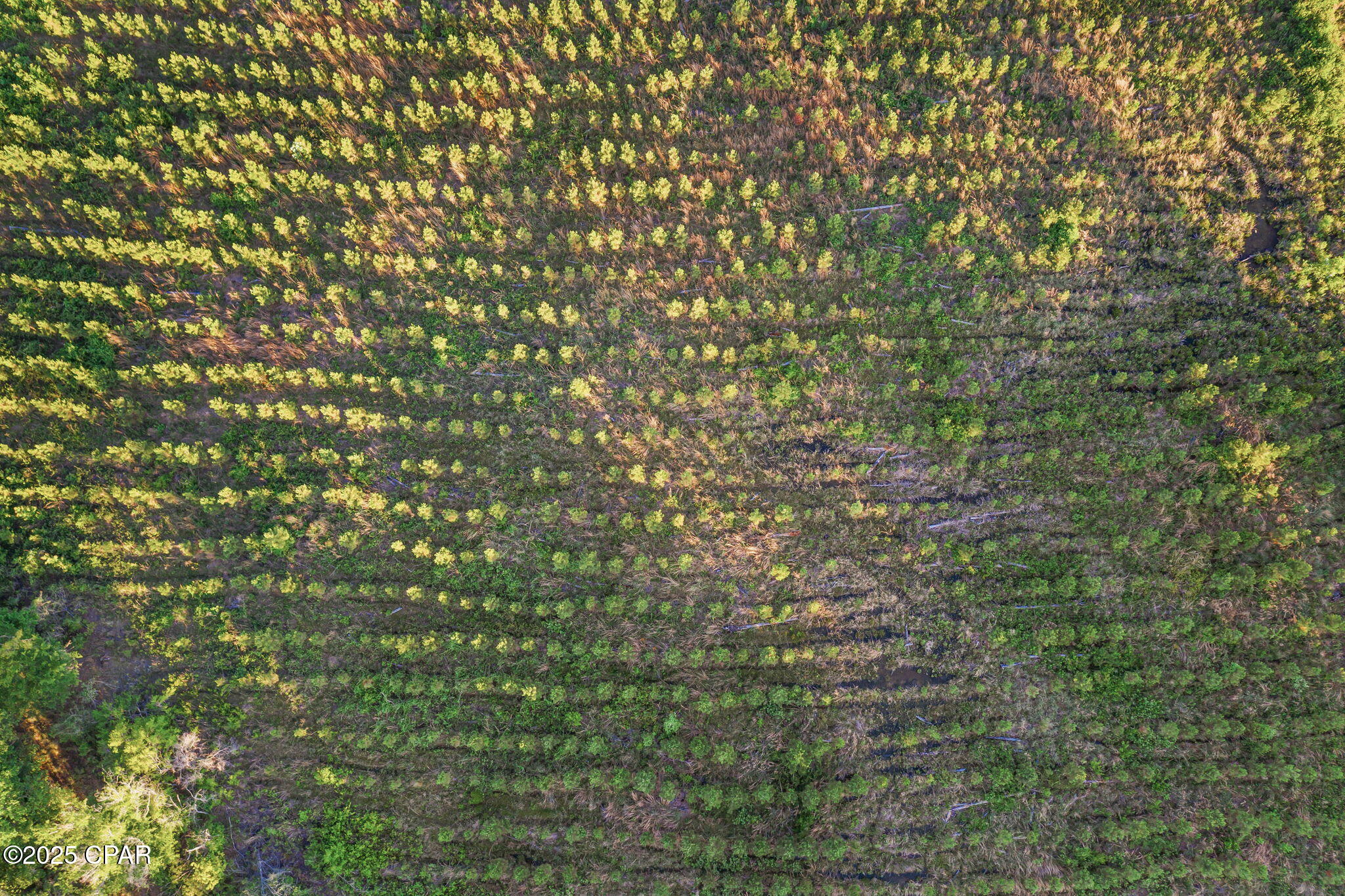 Tlnwhdbnvxxl__ncc73lqdfy9gj Lp3zd Zznehjsui