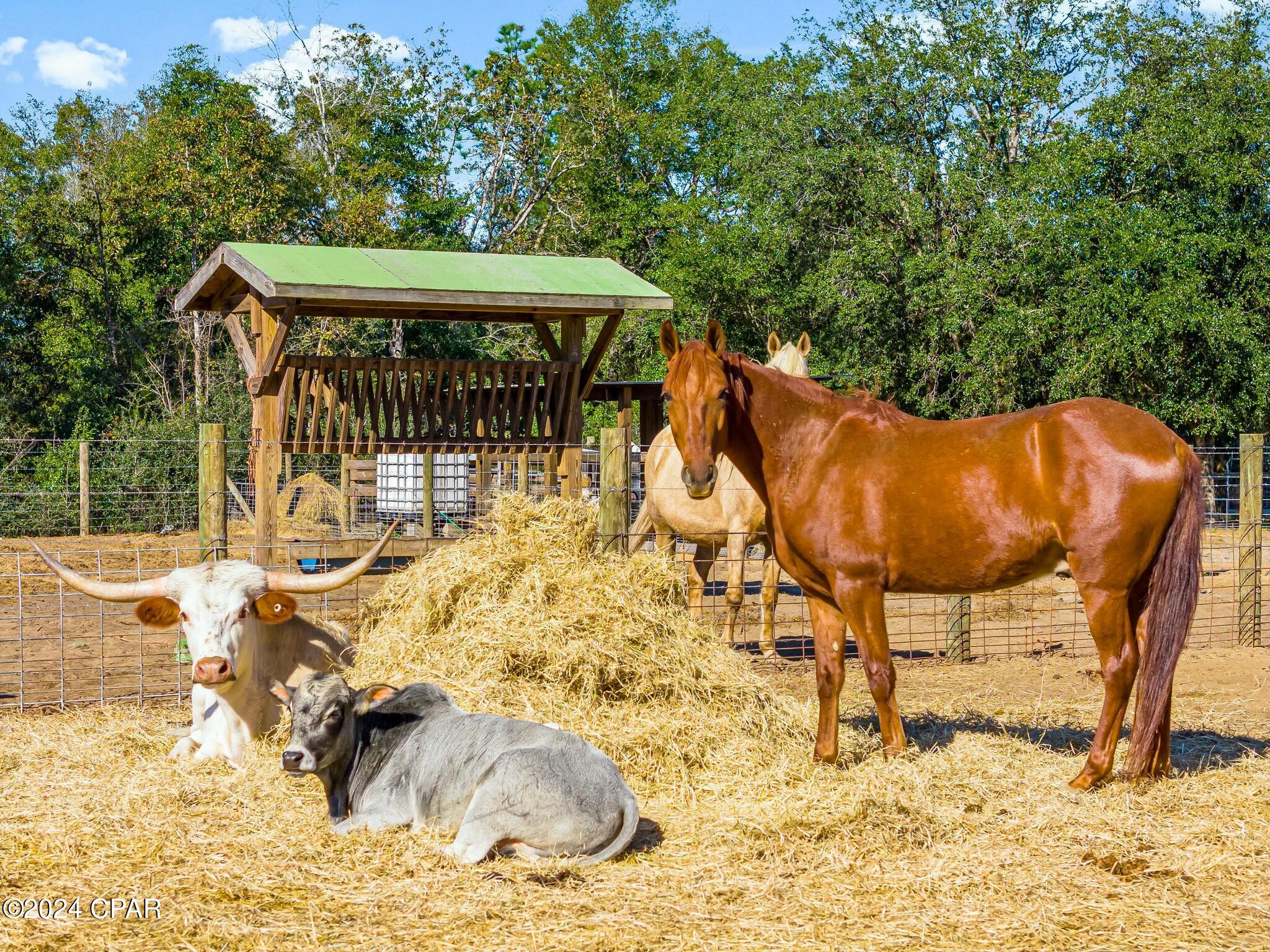 Sd4p1 Z3n9xmcumndiybjy Hfvrv2pokzv Ochpks84