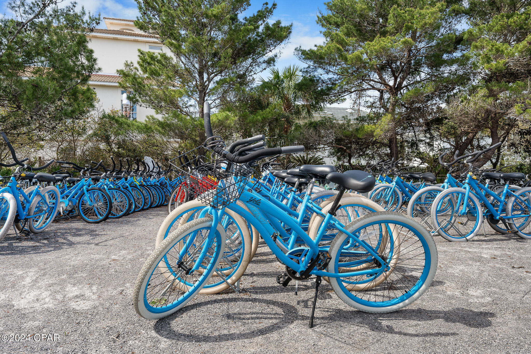 Pd1plznfcoi5kovw8kvhz3vggthhdrrpdjzzja79dya