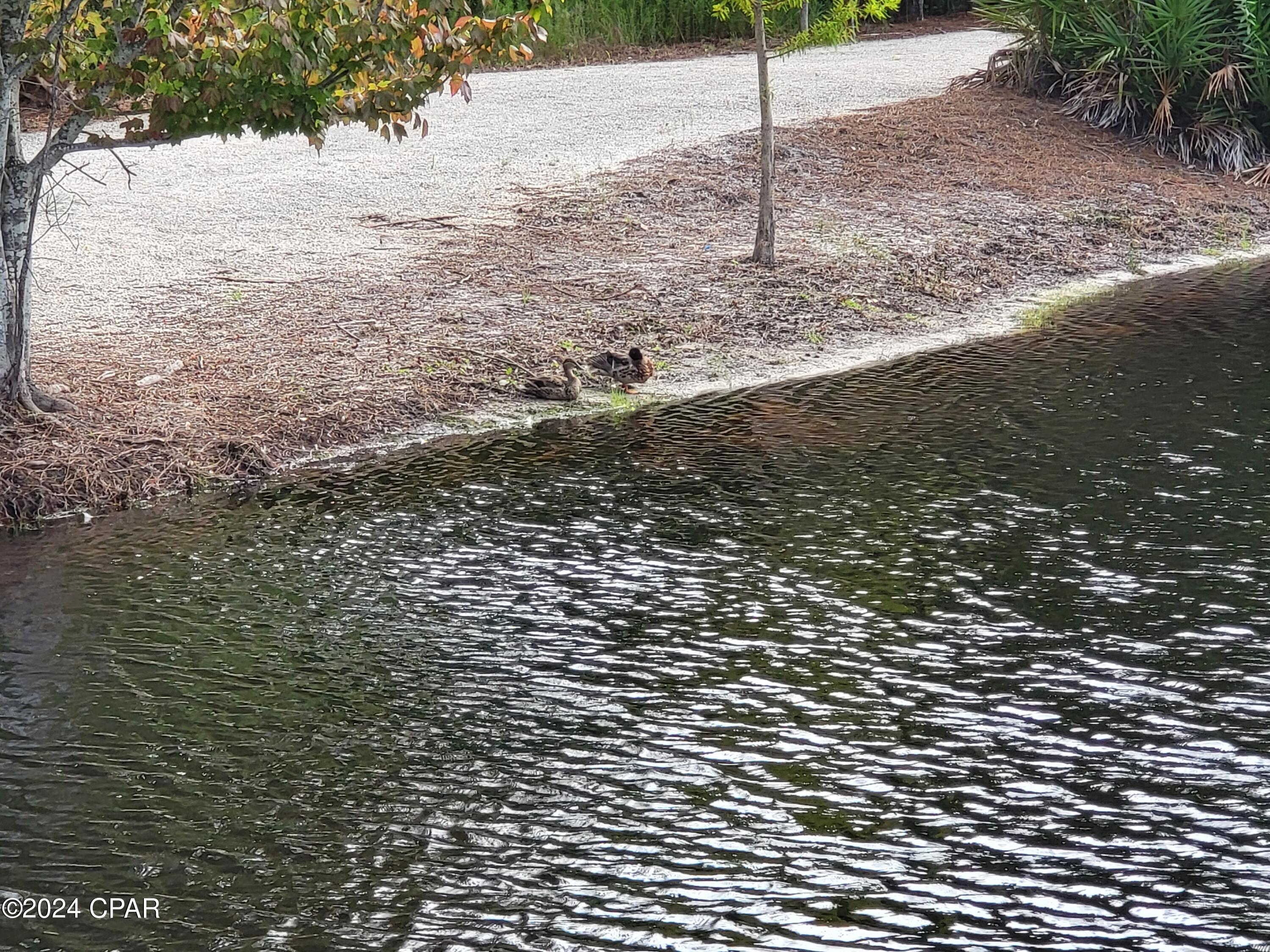 L0w7tjj8q4 Zuwu3u3c4bmbxqbelq7h2z02idxwrxti