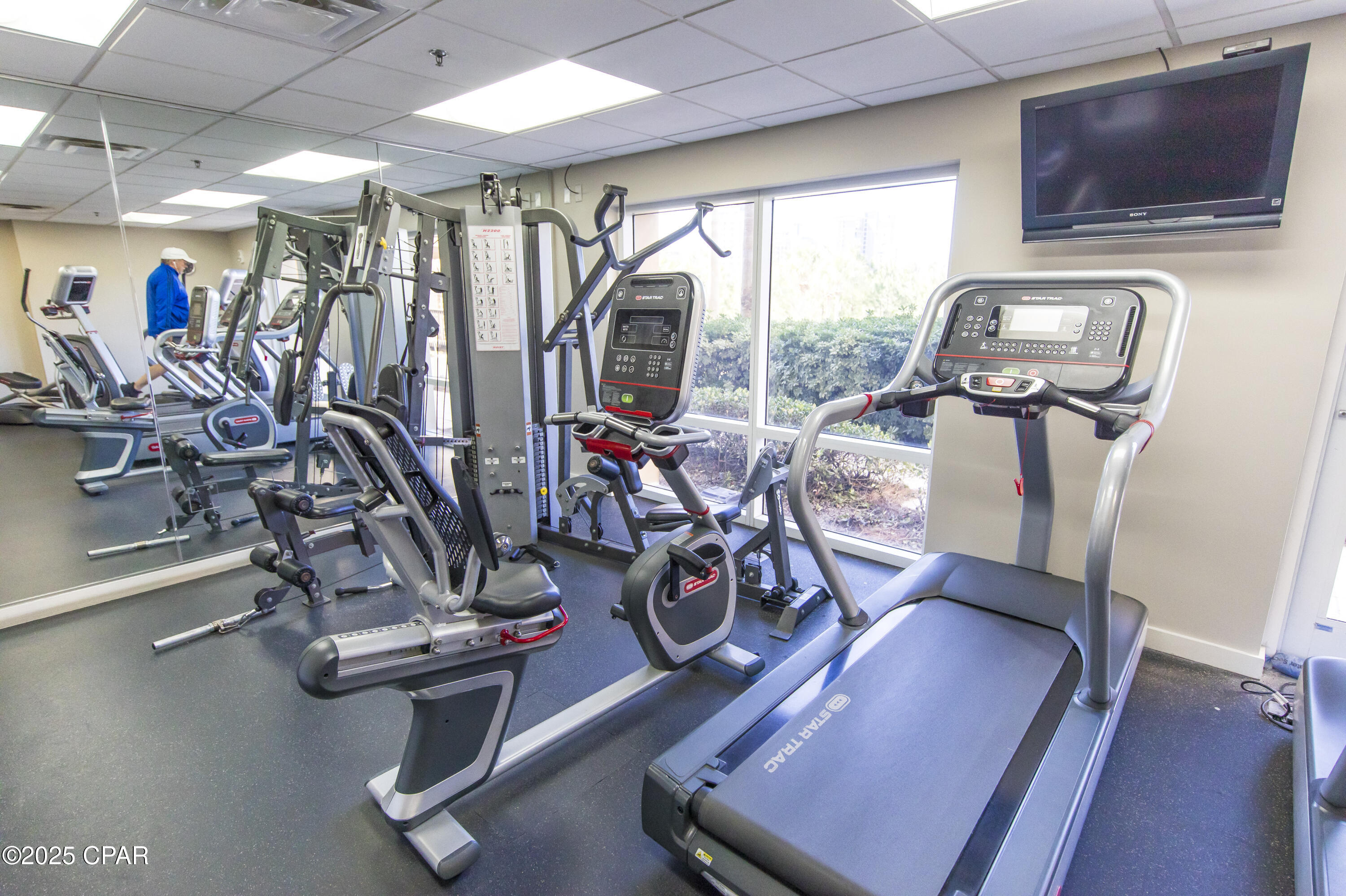 Chbtm40frgp8 Z6veur4ujp7wbcqho22_bizm1noe8y