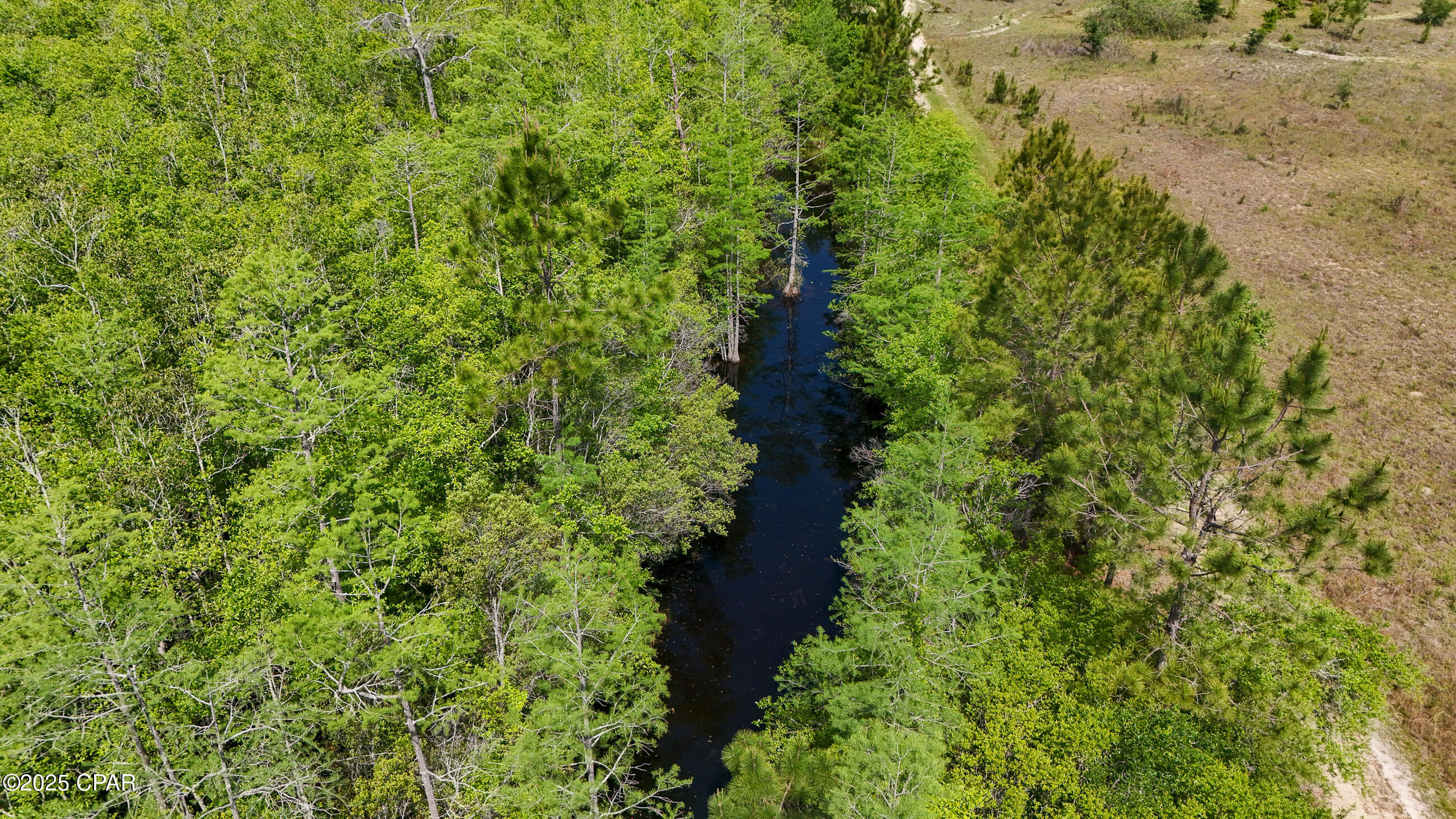 8rjij_mxnzgmdy1m_21x_ig3oqbox_nfwfishymtx6q