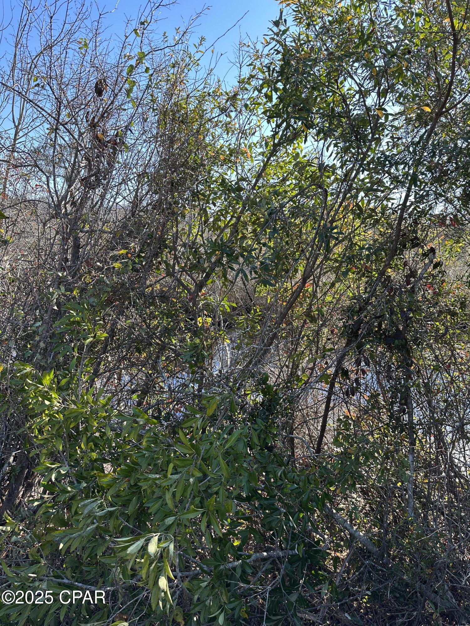 Uw1h 53faignbqojk_7sey6ctc34zjwet0rzcecqllo