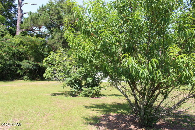 Qf1smuytbzryfqdcnuuotlfmtfbeor2tuc95 Kdywna