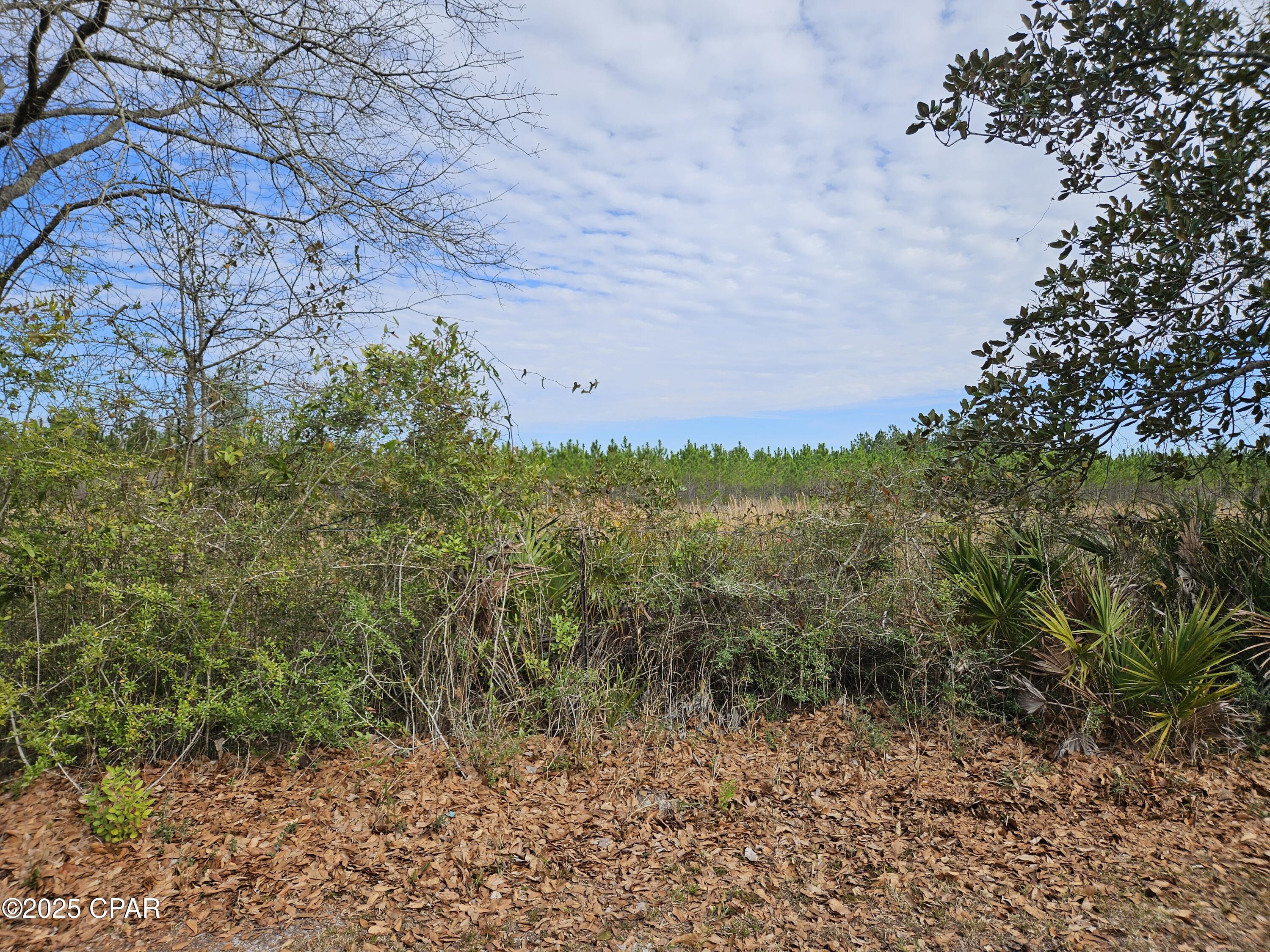 Tkevwu6amef_lrm8ohzpgnnlr1nfg1ednfntel_d Ii