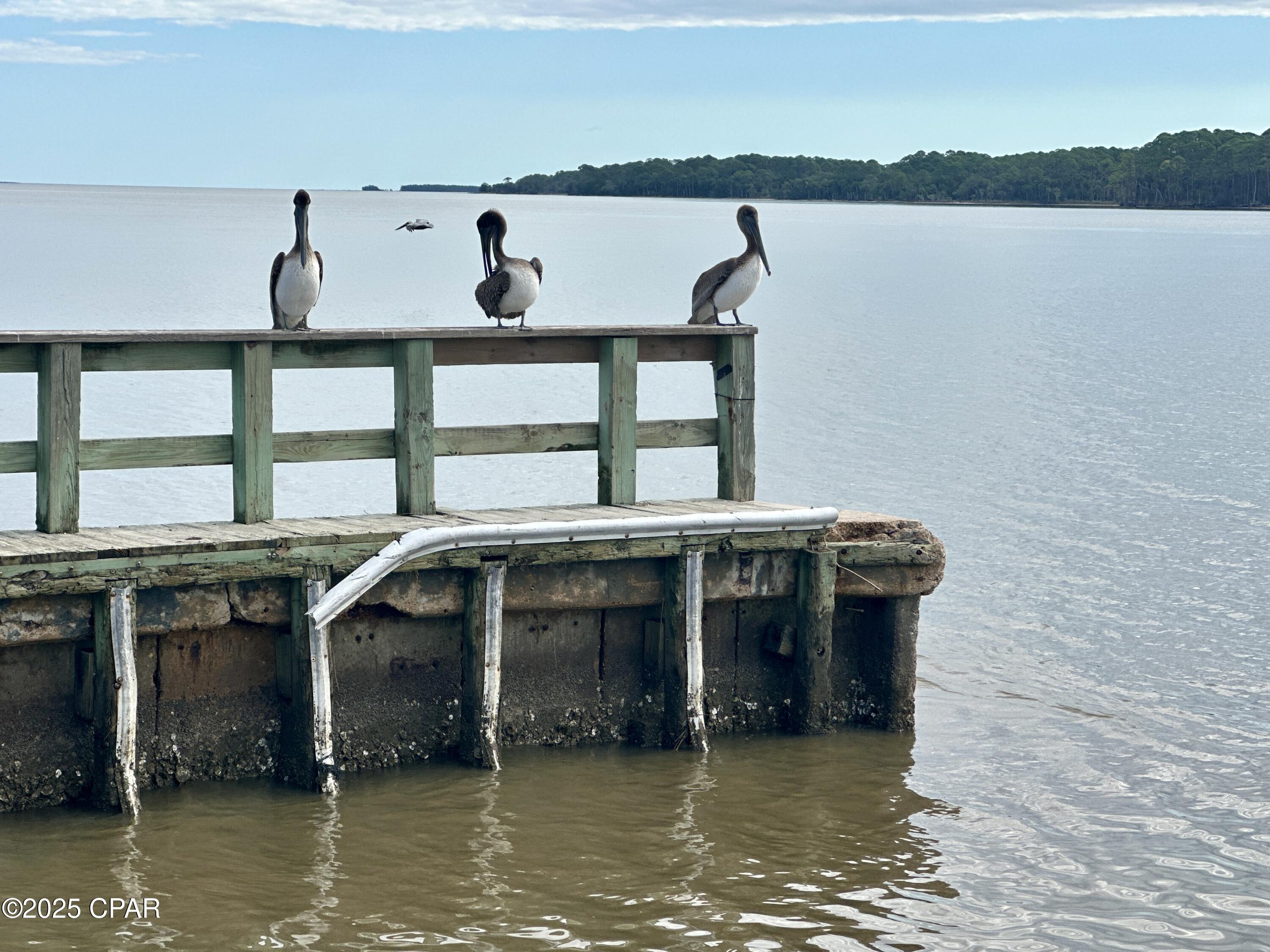 Image 18 For Lot 24 Cr-30a