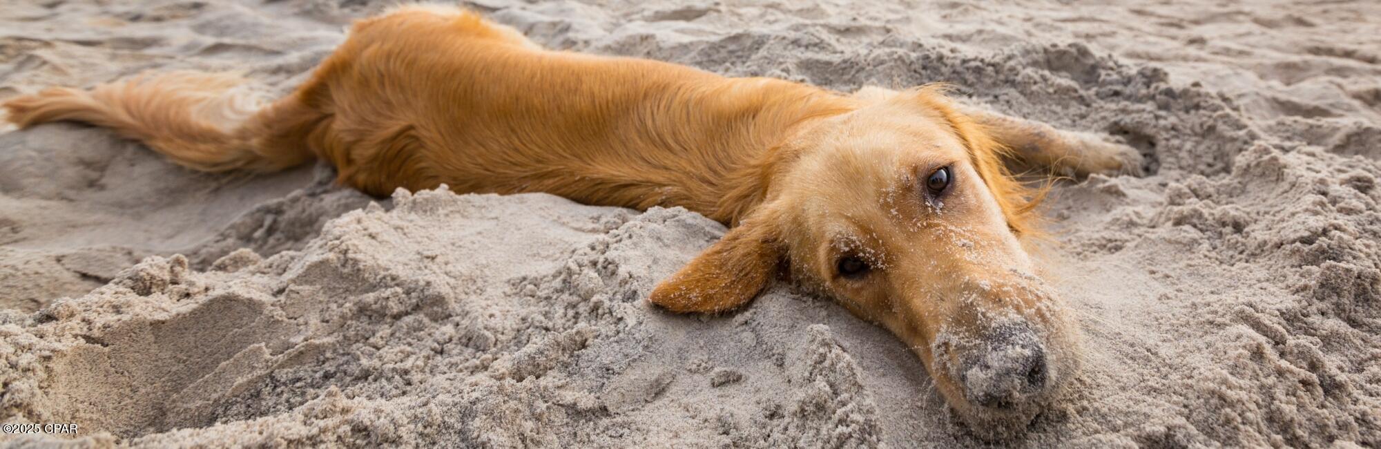 Astyck4rgja2zwxx2fjvwiybqj4nmkslfi2boowojk4