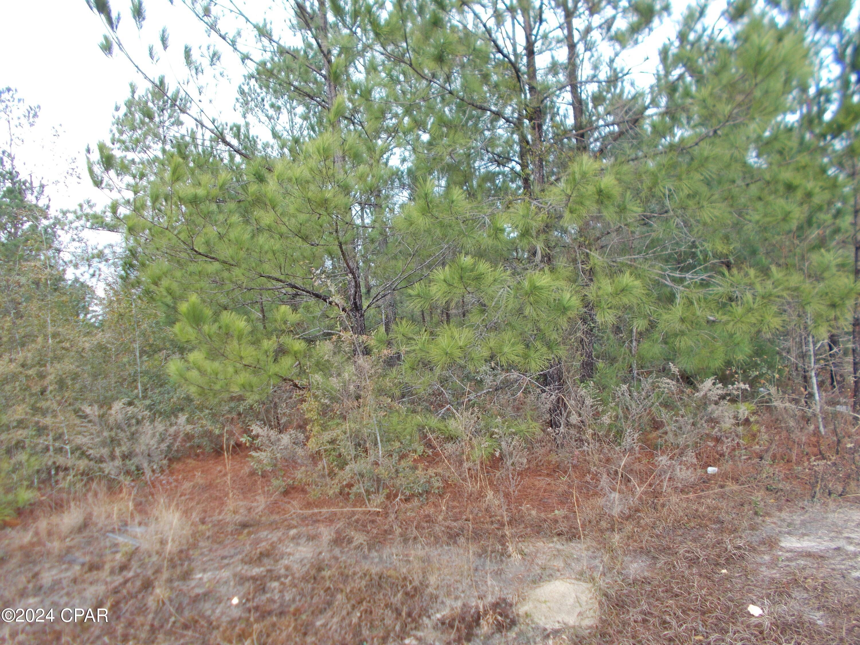 Ose66z Jytc 8bxwwc5pim4ypaatrmjeez Mwxihiye