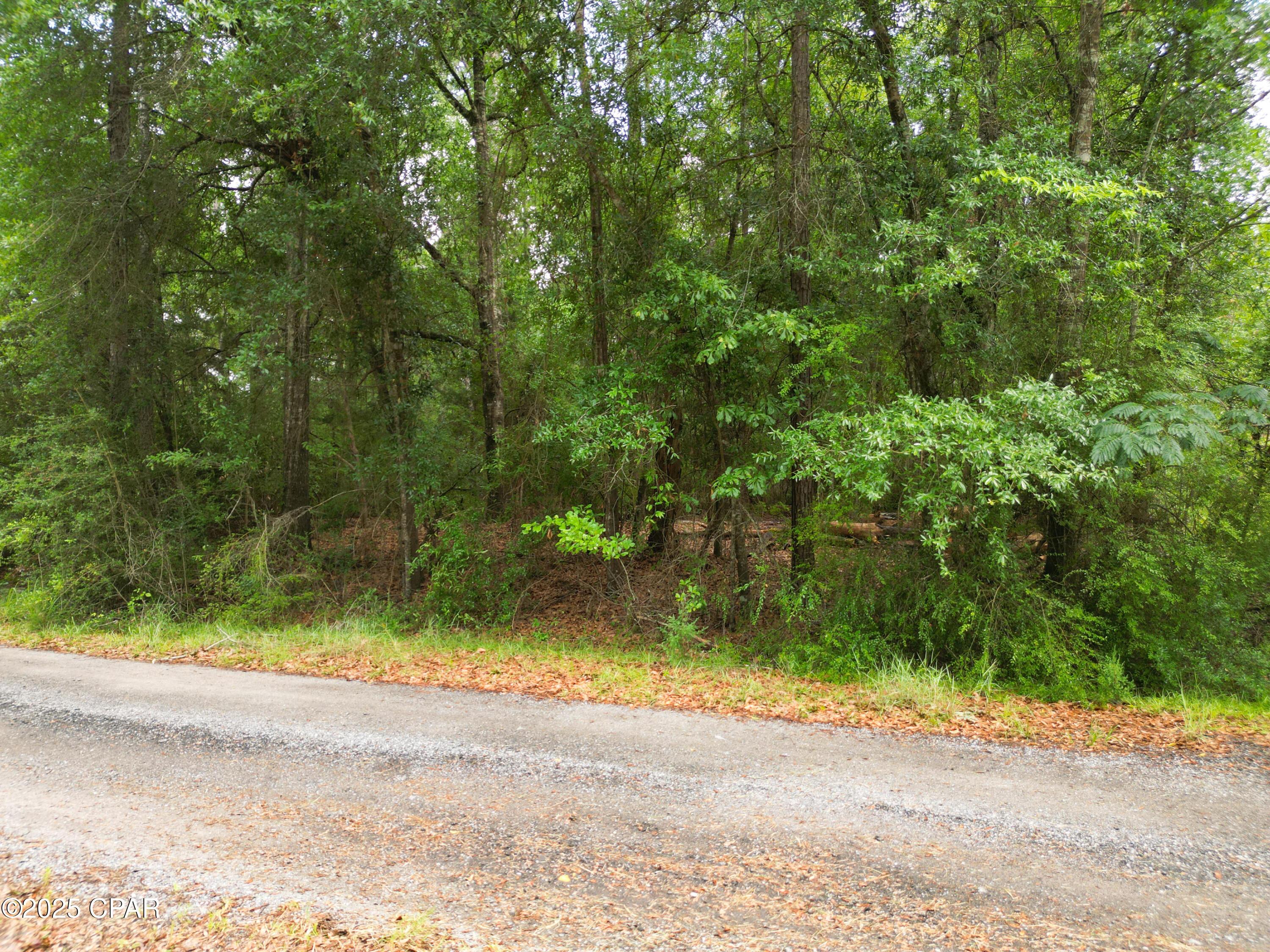 Sr_o660 Dgalc97rxaydqgf87aojtngvcacf_jzs Gu