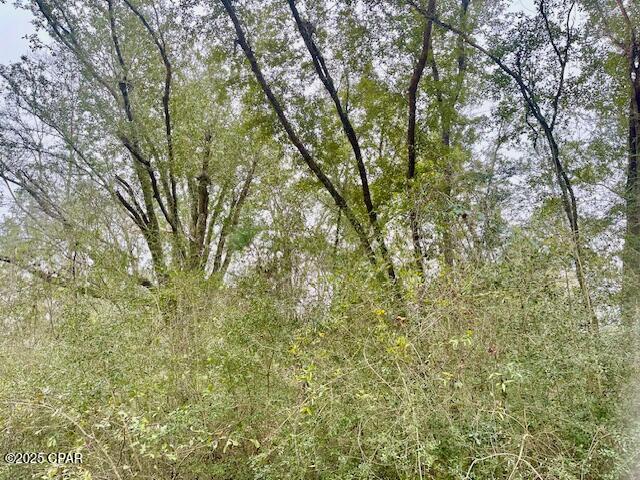 Crqjojmm1kpzwtwhwhattcj3_wmxzhysoj0nc0vj8h0