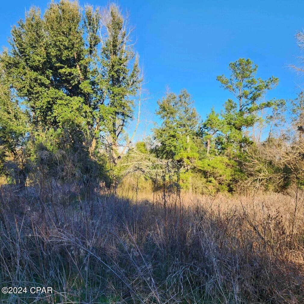 _g4shdozroelclhsx_gqsfrbrhot8jf2irvrb7r3rcm