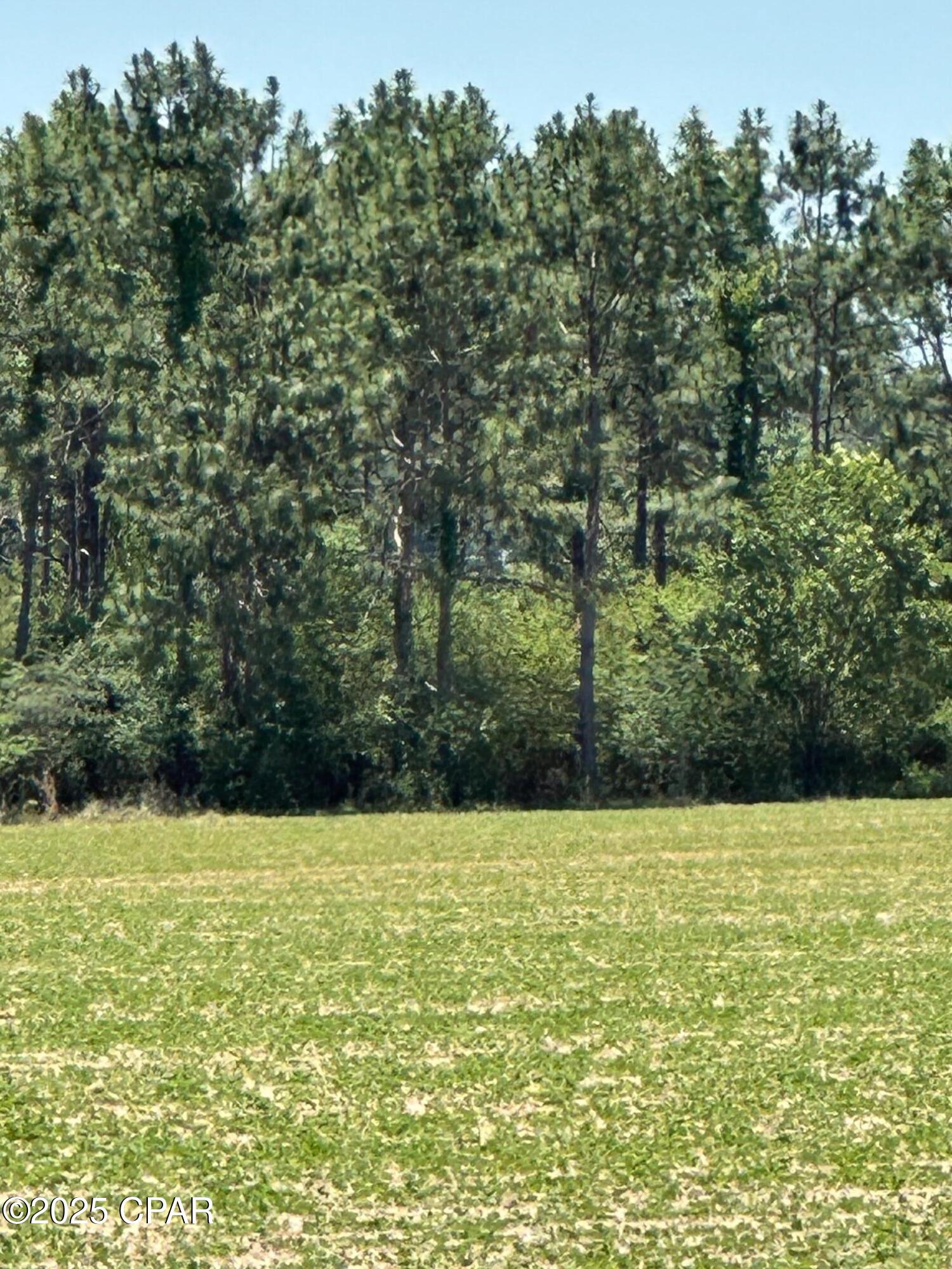 I1n0d3hec39n9cow0olejhu3fk6bqv9nbi001gy7e_o