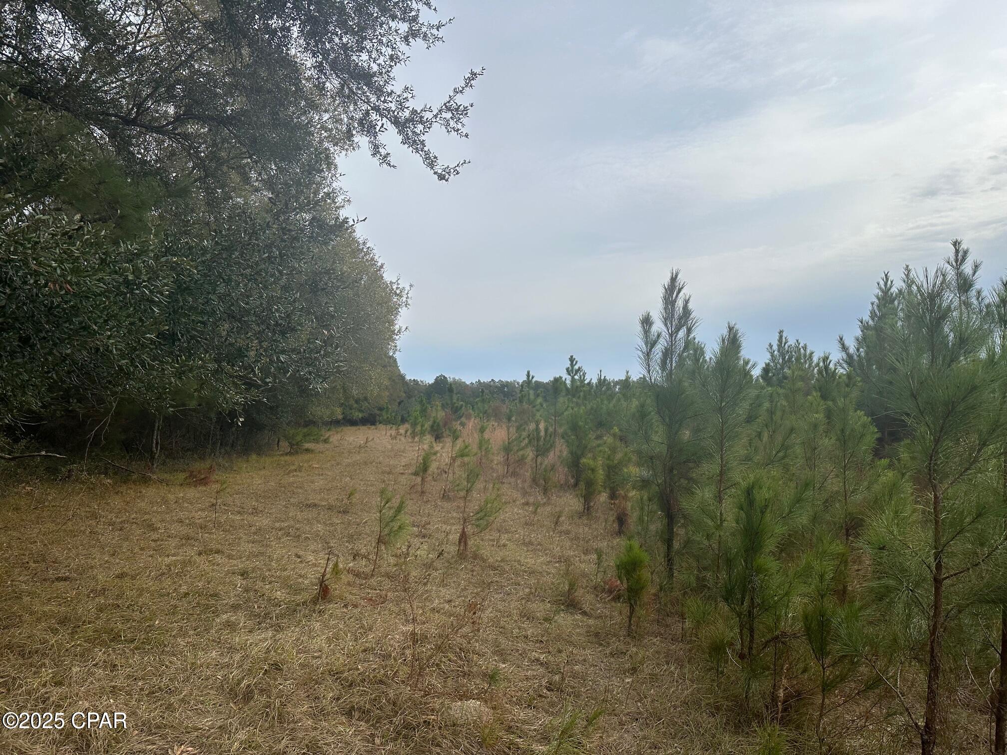 O6pkl Mihf9deqzrms1xzwzr N1vls_bcweeuvsvl9o