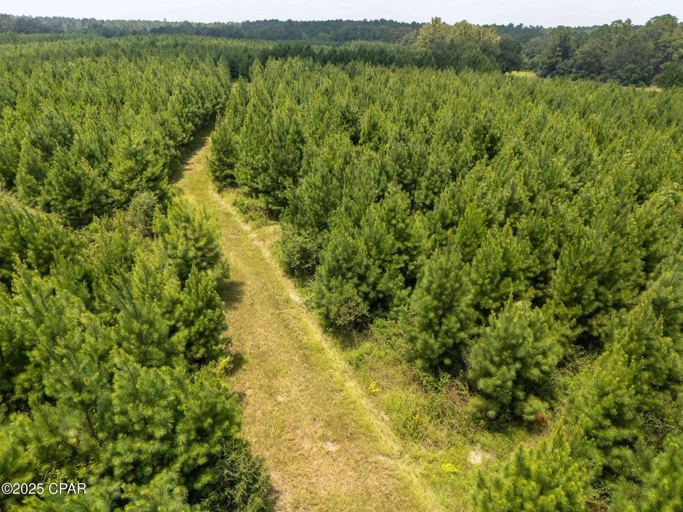 Details for 1716 Bradley Road, Westville, FL 32464