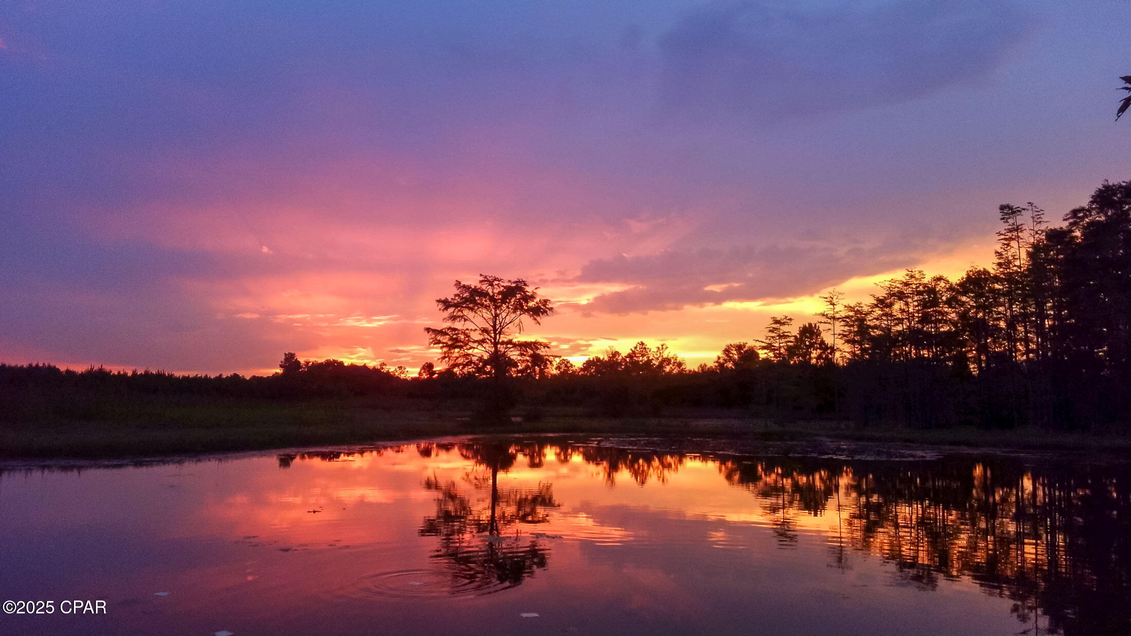 Xyuqcp8hpcsogdog49nllqhxwdrwzlm_iub3hhqnsb4