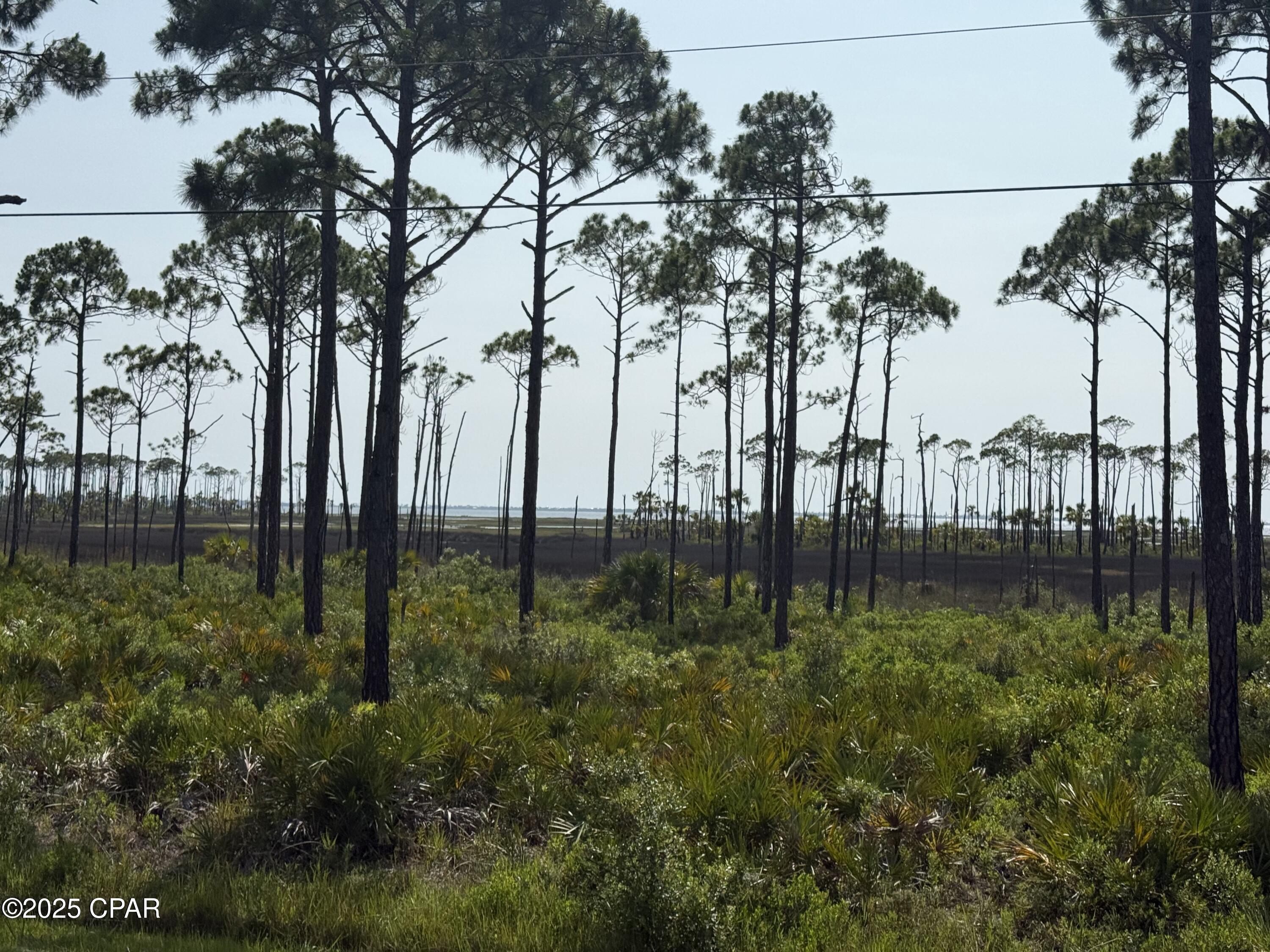 Image 6 For Lot 6 Sr 30-a