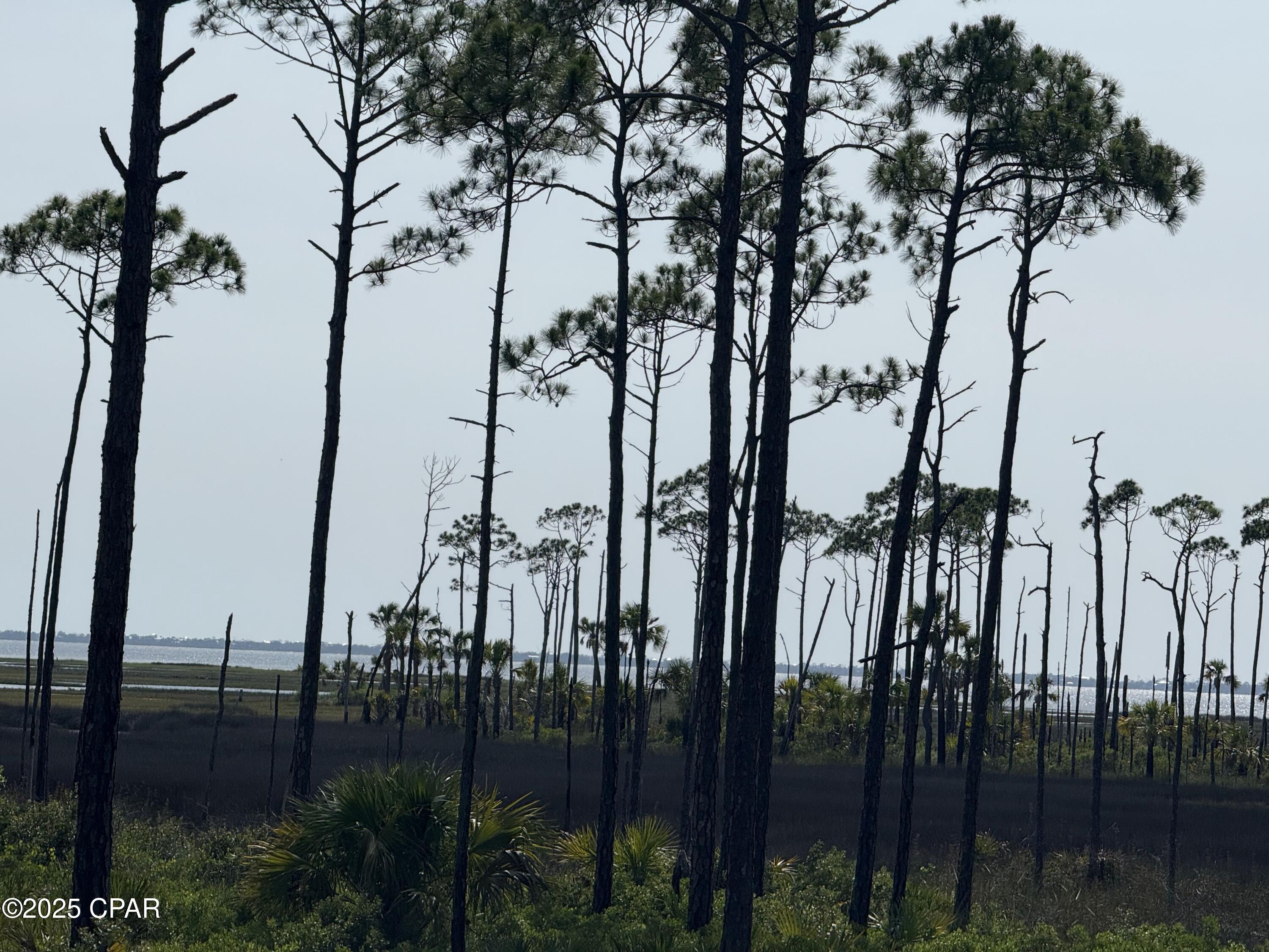 Image 7 For Lot 6 Sr 30-a