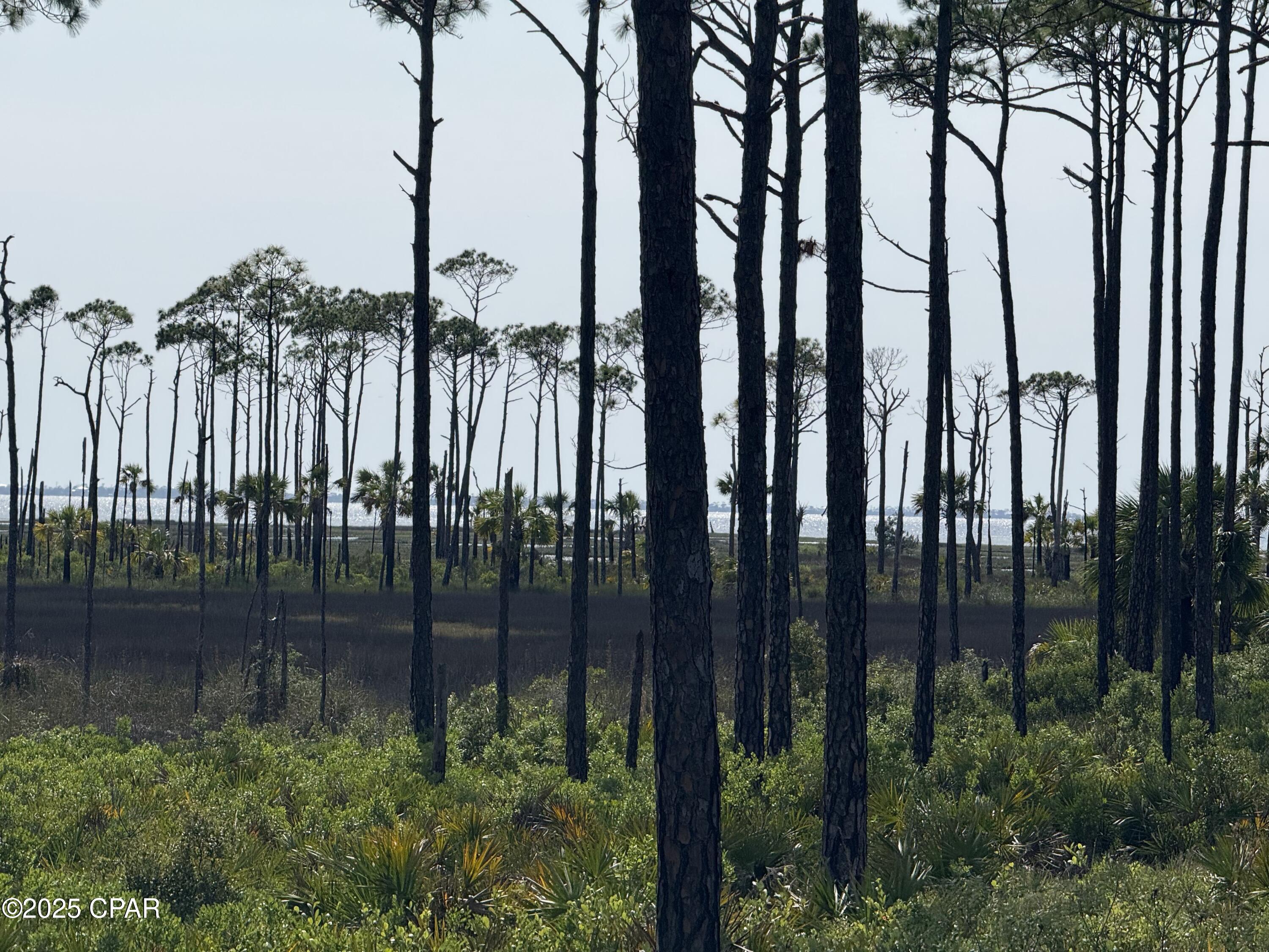 Mf5yoaovtg3orcshwx5xd Xcplu8soj8uv5mknfn9fm