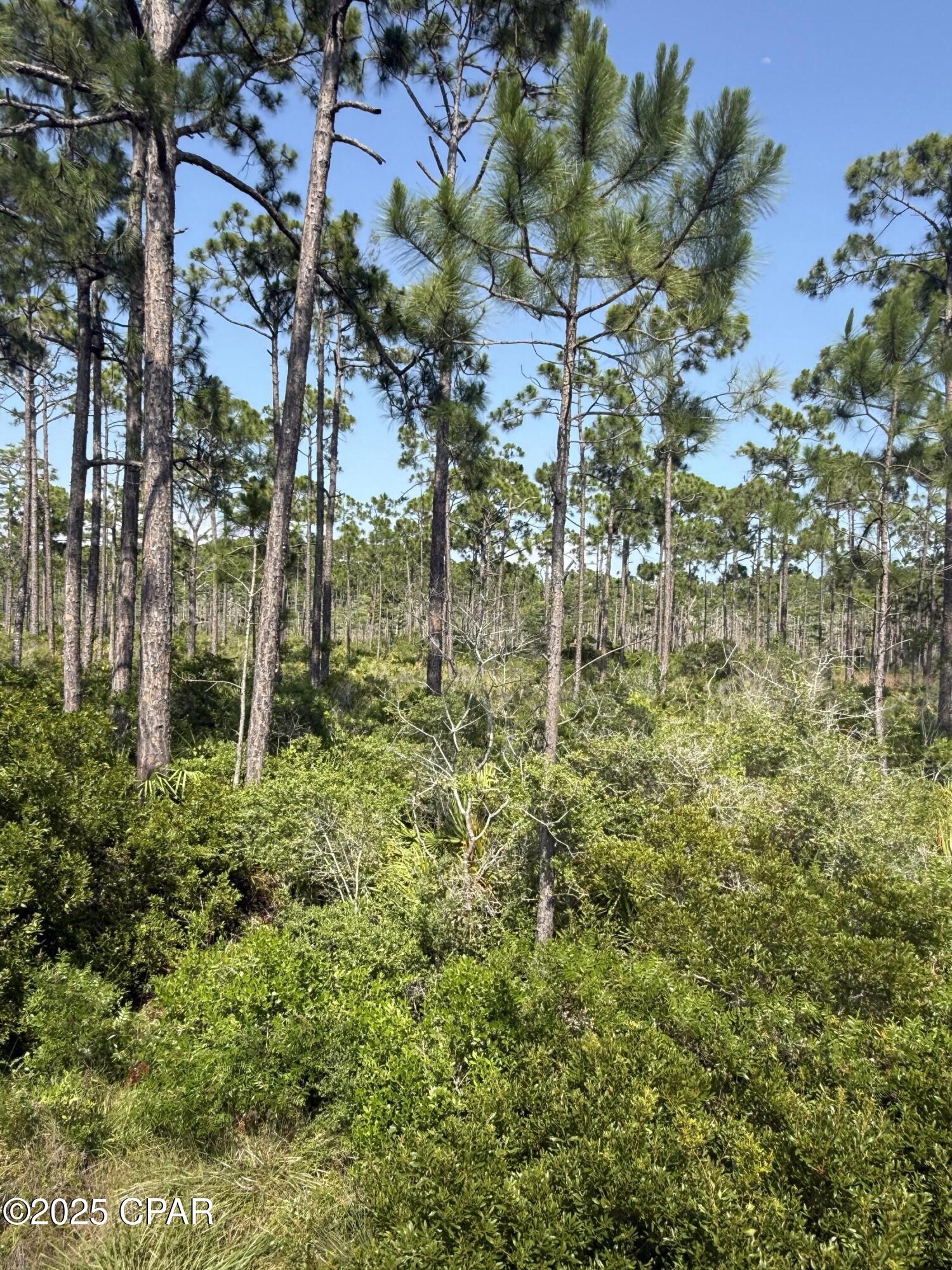 Jf5ohijqy3vskxinahpdbaxmzxcgonbw538j4wwngdc