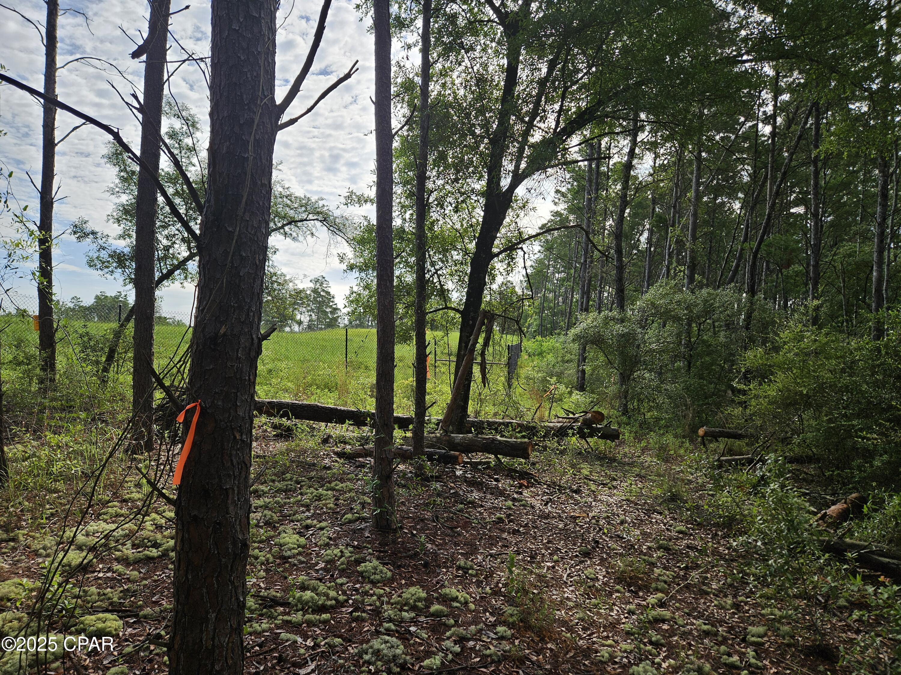 Xgae4jisnjt4my5zenbqwxvsv8rpna2rssyl6z3wuly