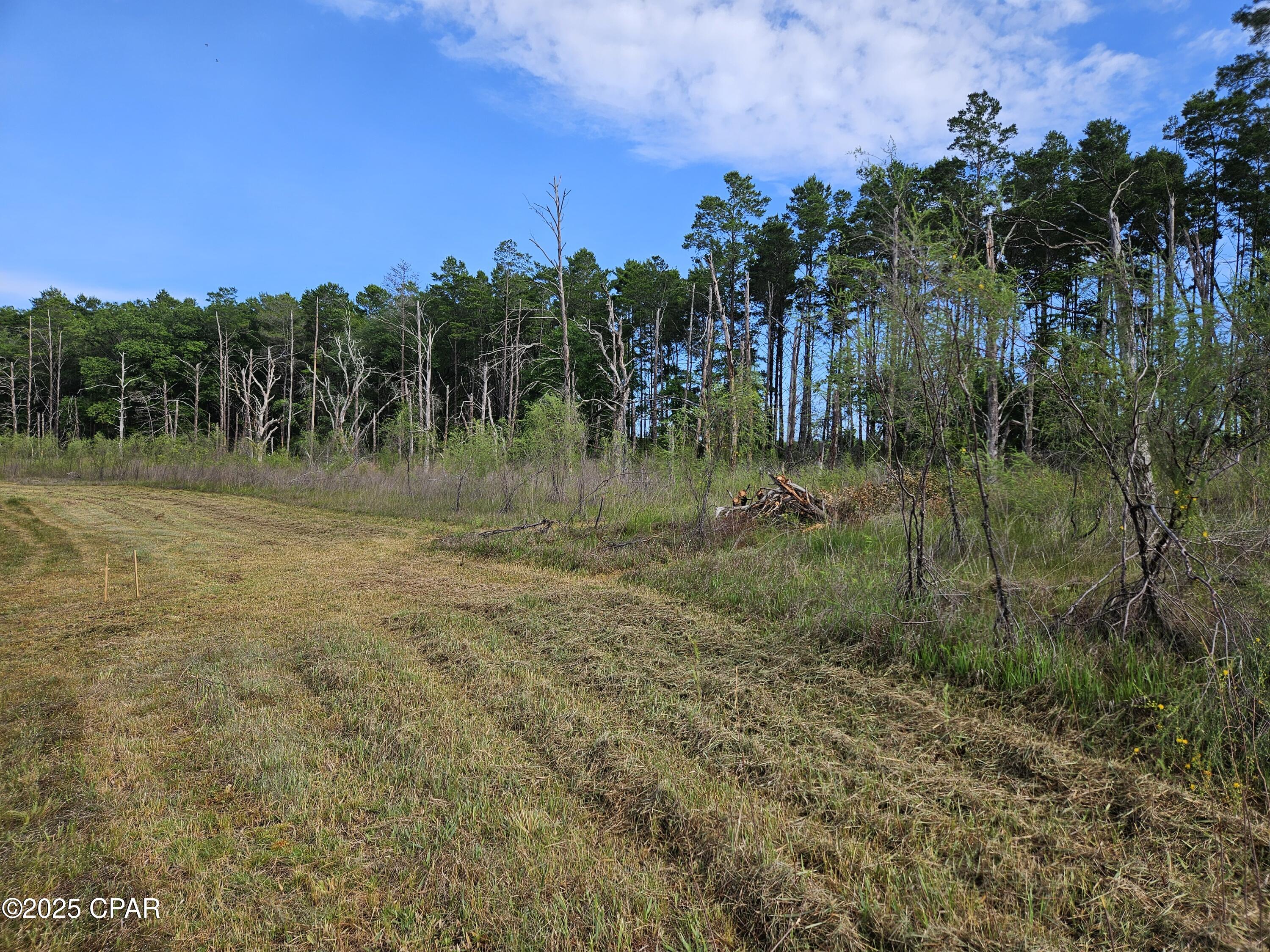 Image 26 For 6355 Highway 77