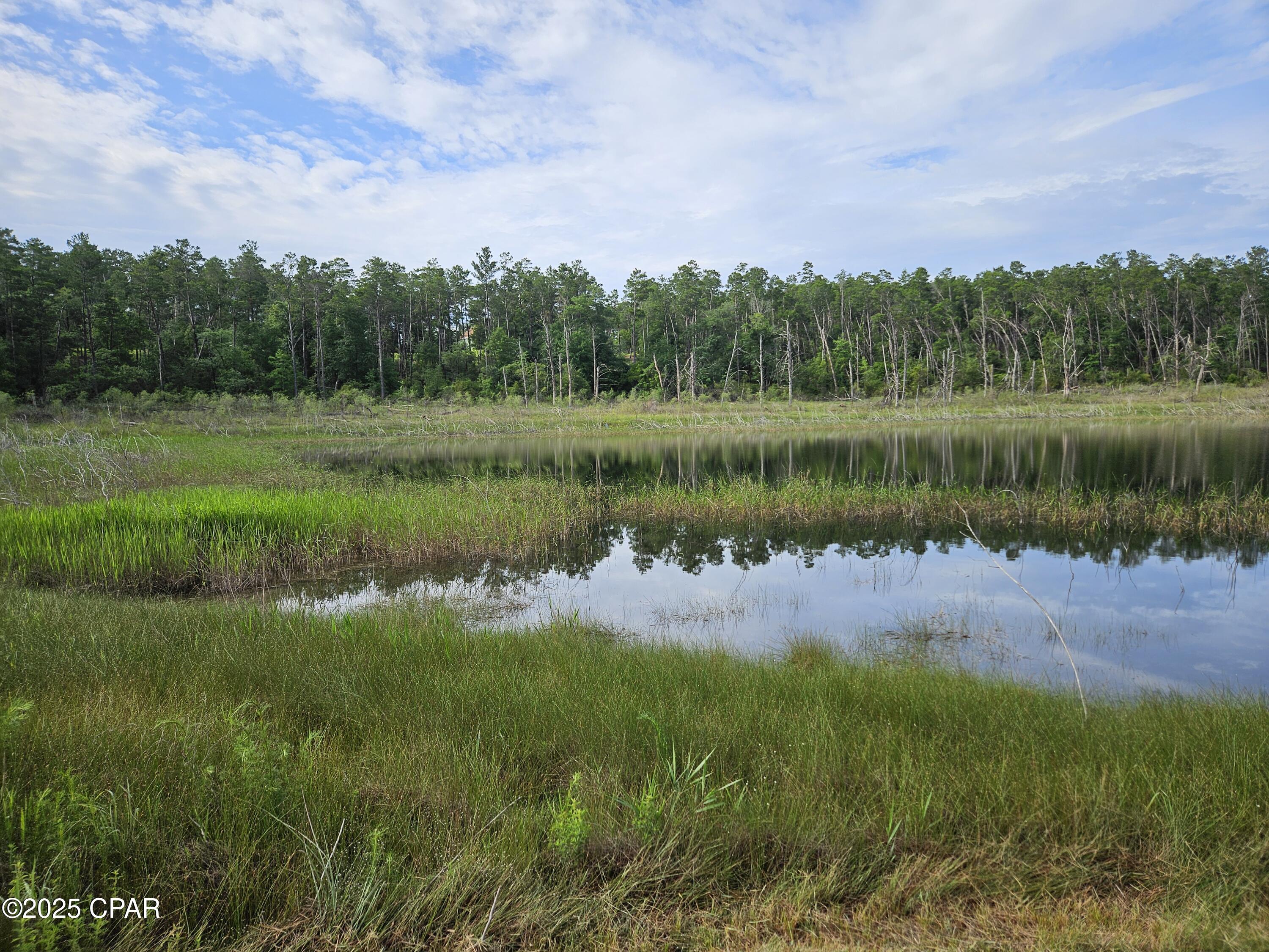 Image 29 For 6355 Highway 77