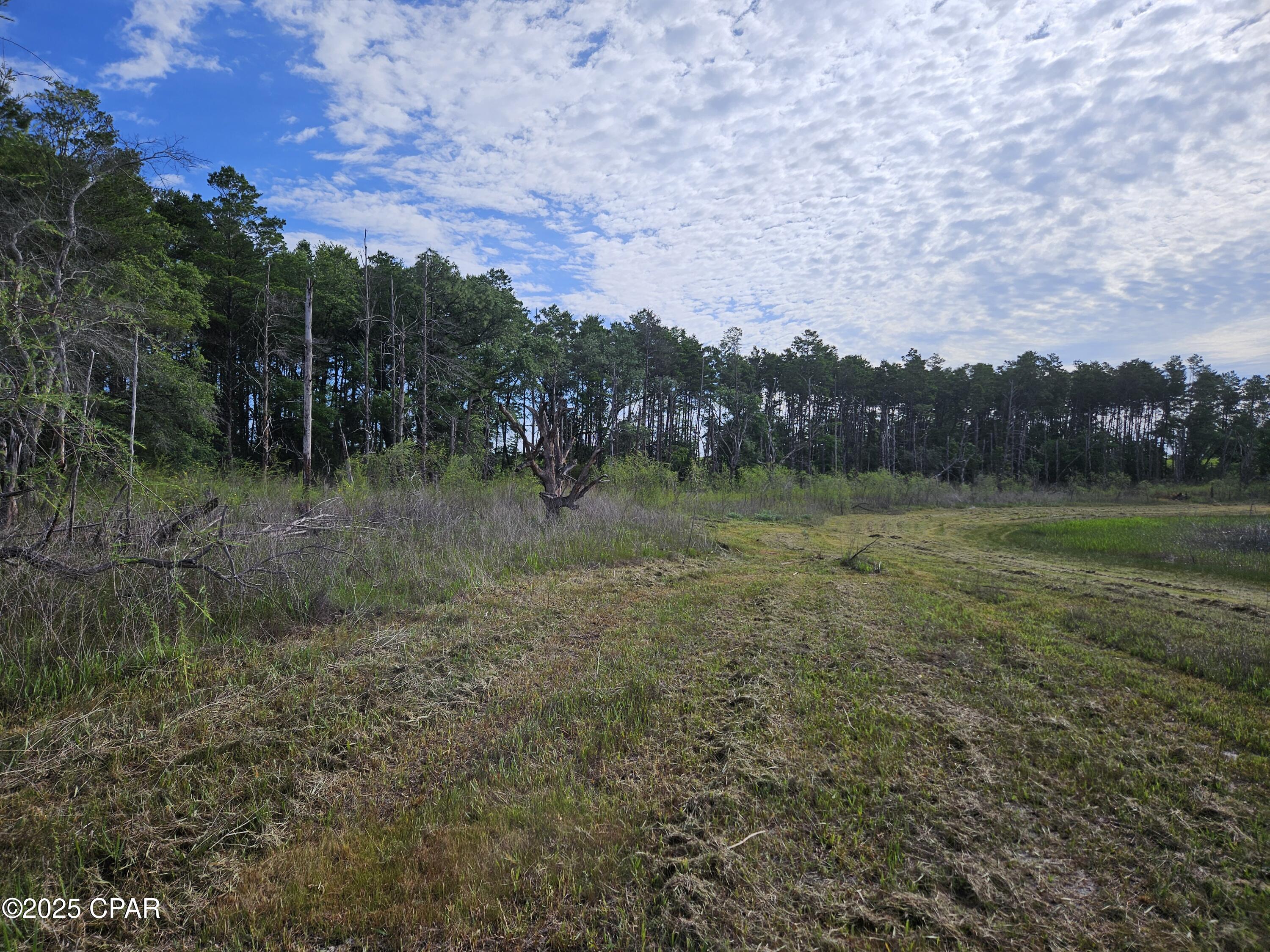 Image 32 For 6355 Highway 77