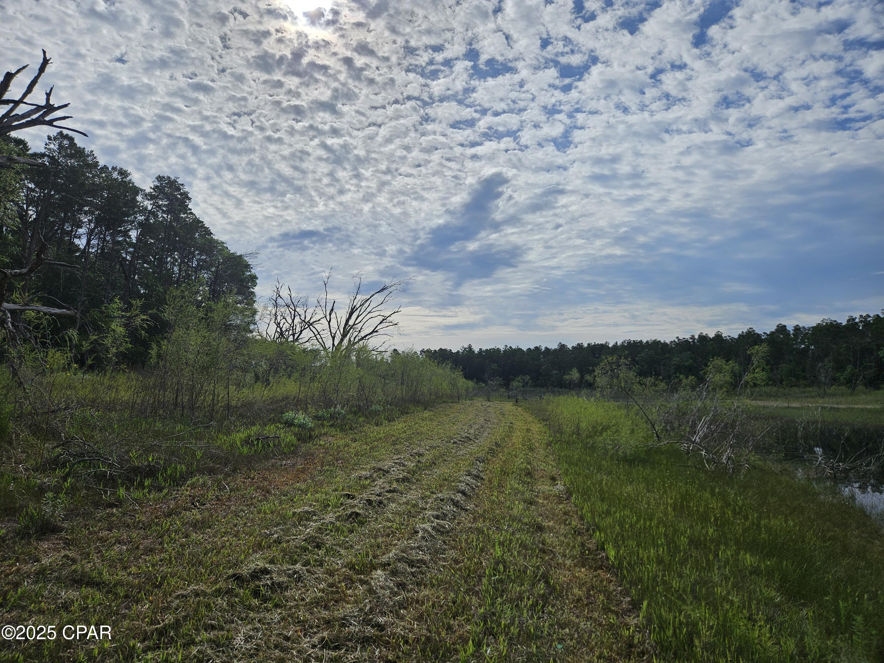 Image 33 For 6355 Highway 77