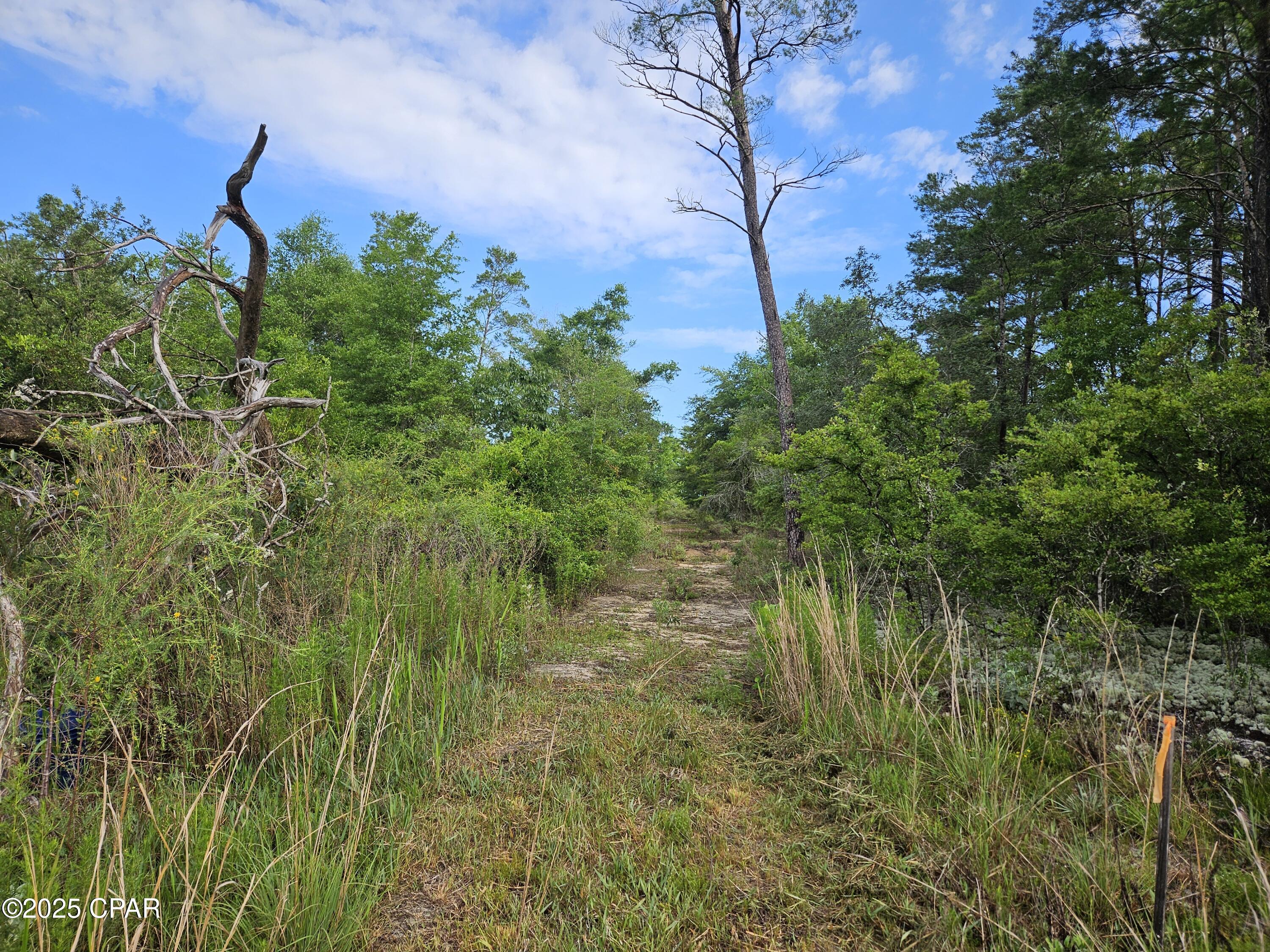 Image 37 For 6355 Highway 77