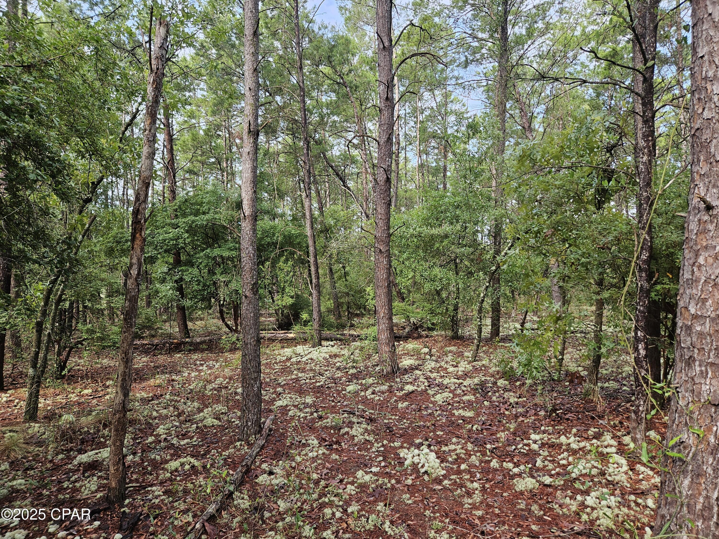 Image 38 For 6355 Highway 77