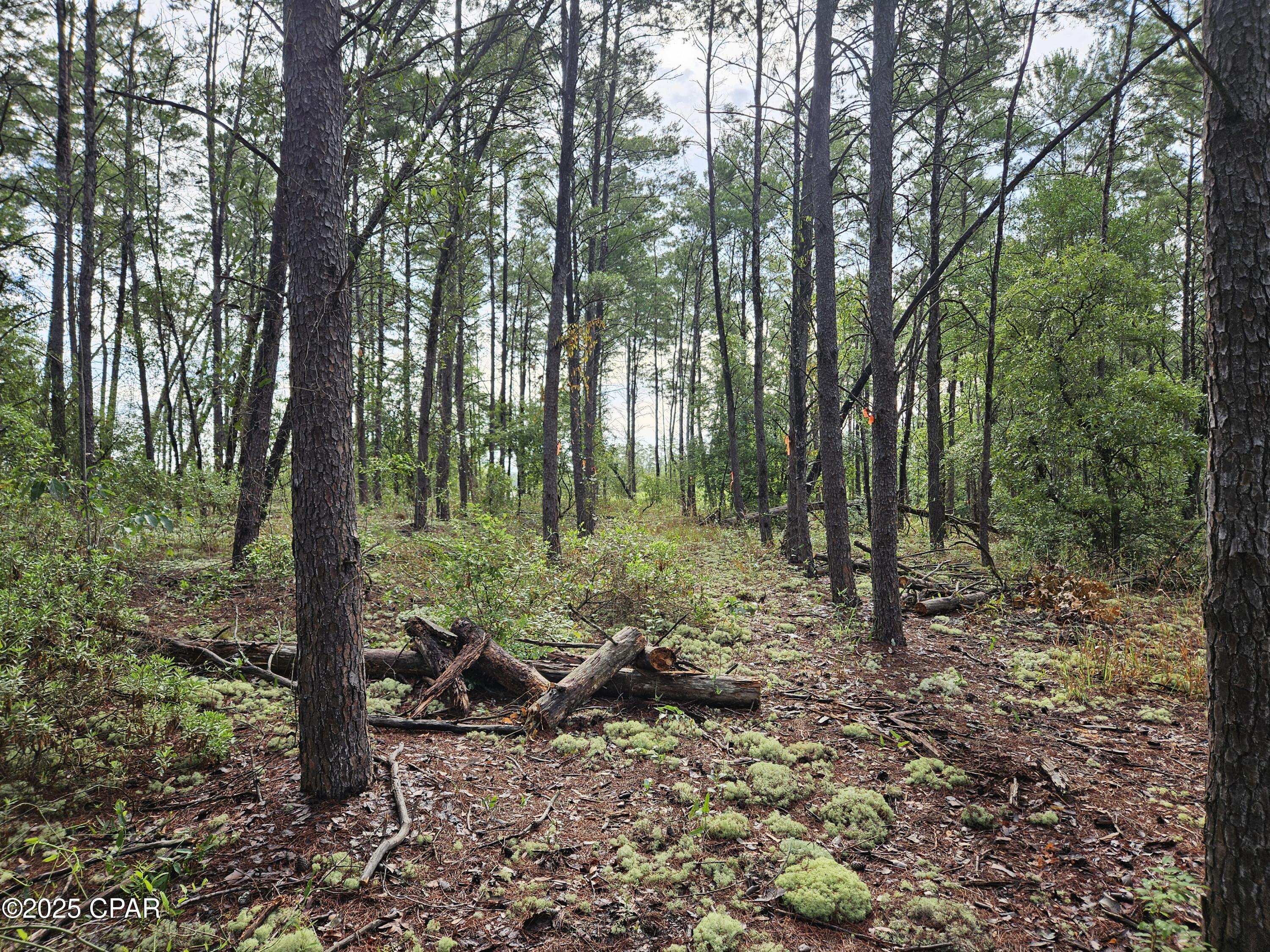 Image 39 For 6355 Highway 77