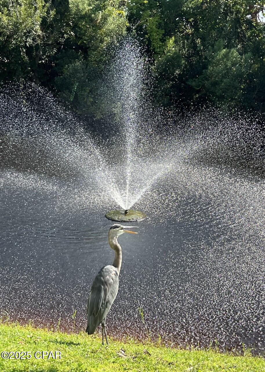 Image 52 For 17462 Front Beach  60202