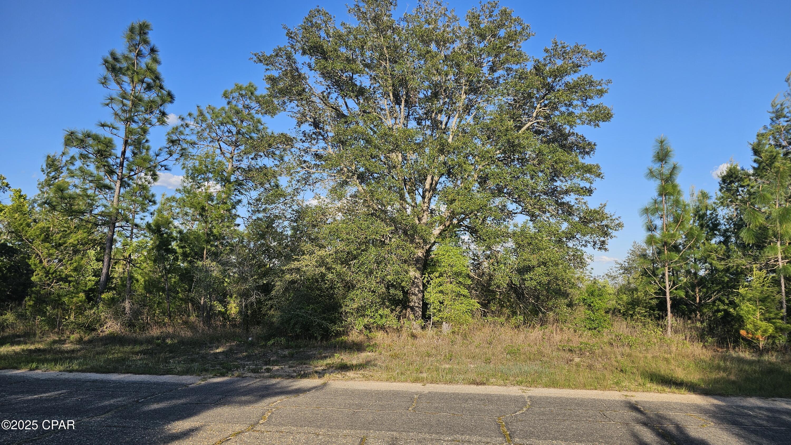 Yb_uceut7ypbdooh3mj3brkf79q Hvtftwpt9rybfu0