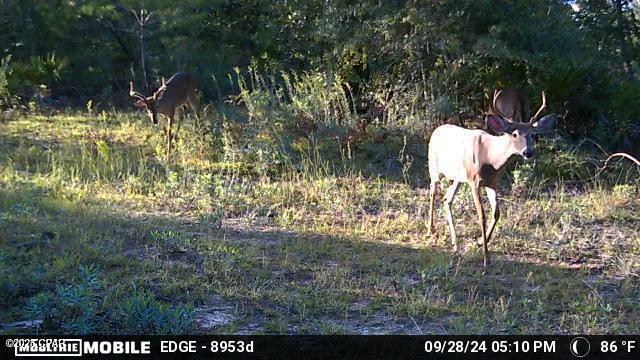 Qvhjkoratghsdgohnsj7qax3edftedlukndkuv4uos0