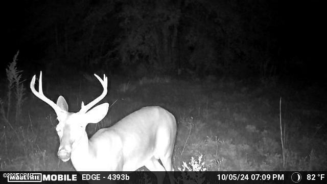 Tuvnbxnusgs7rpcewvh3h76vjxgei Luohn9zonwv04