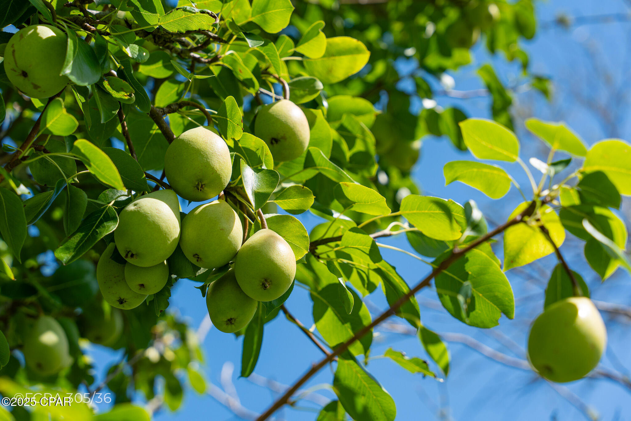 Paeiyk4xa2qlggz Peg_d4szbs M L85pggvf7wia9i