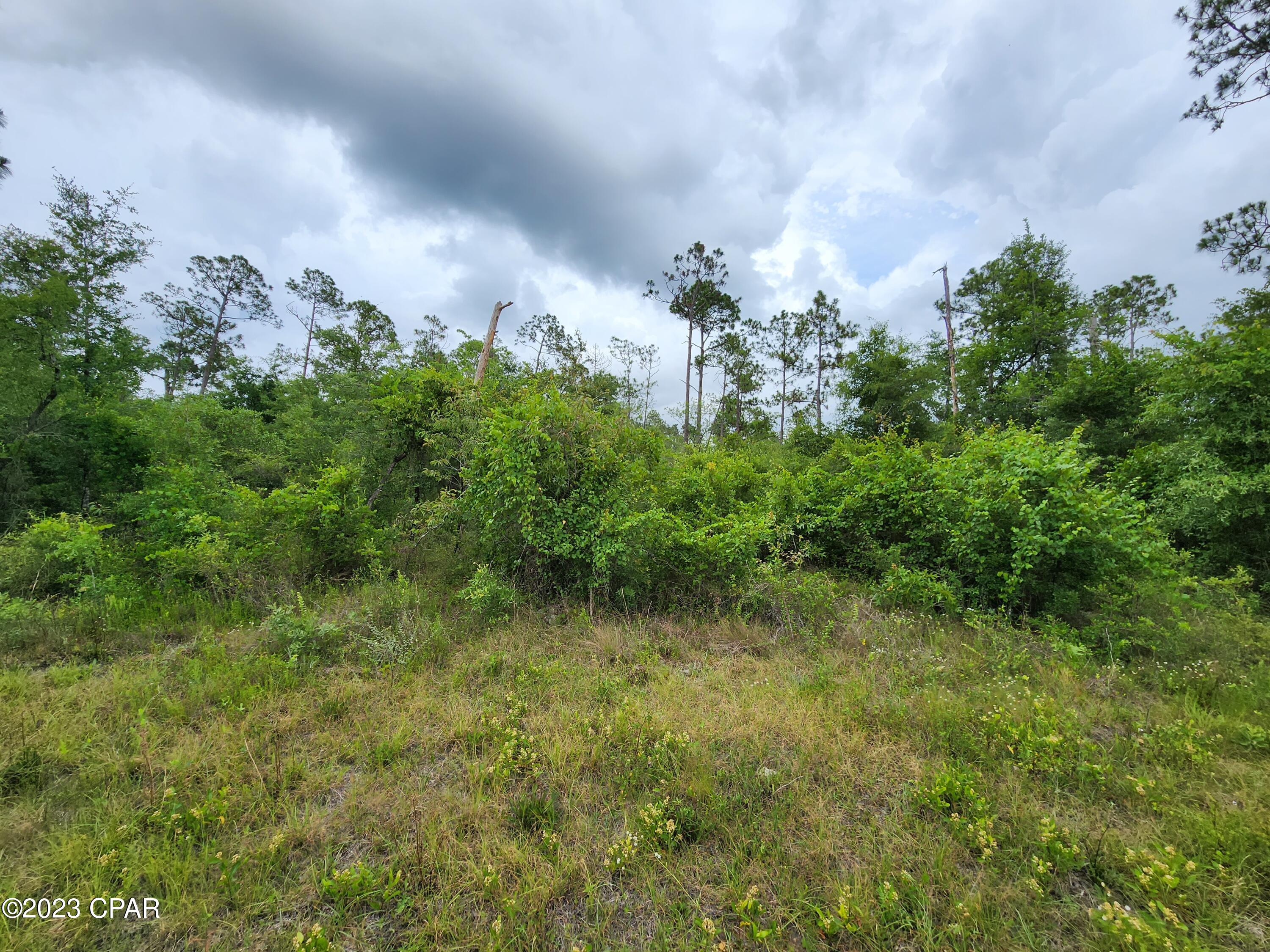 Qmtxogdeep1f_5tbw5jq7ykb7jdjbtey4fcurlcuxbu