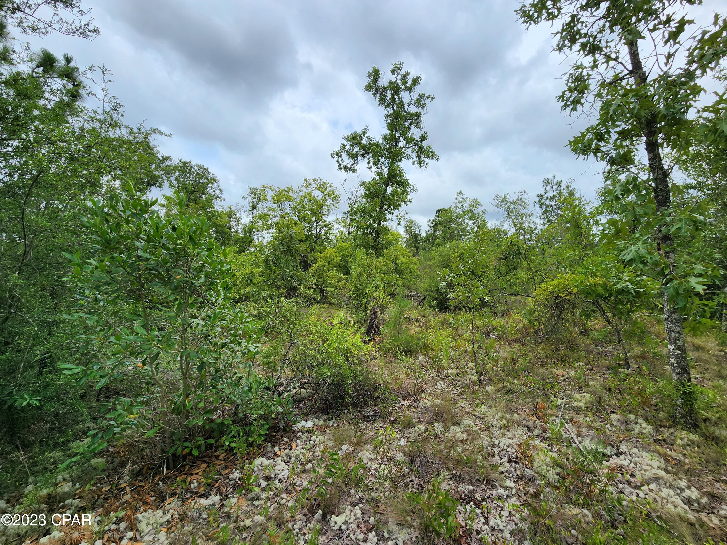 Yx98fnuxv1c9l Wmocuxeggvwfgnsfix 6kfjtpw_sg