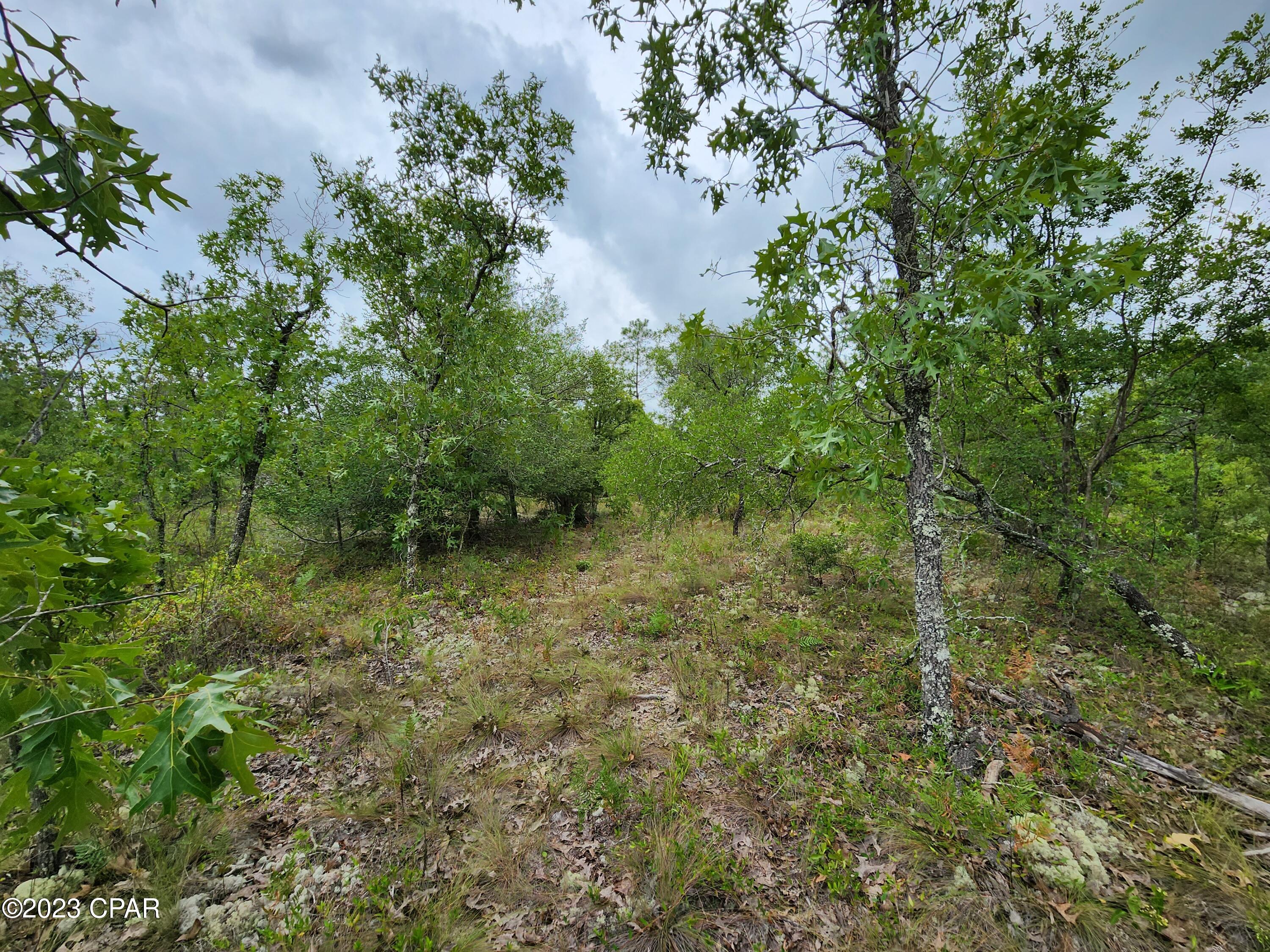 Cgjsyqjtdtgjml4b63vozveganrp4wx8ztdfesiqlcq