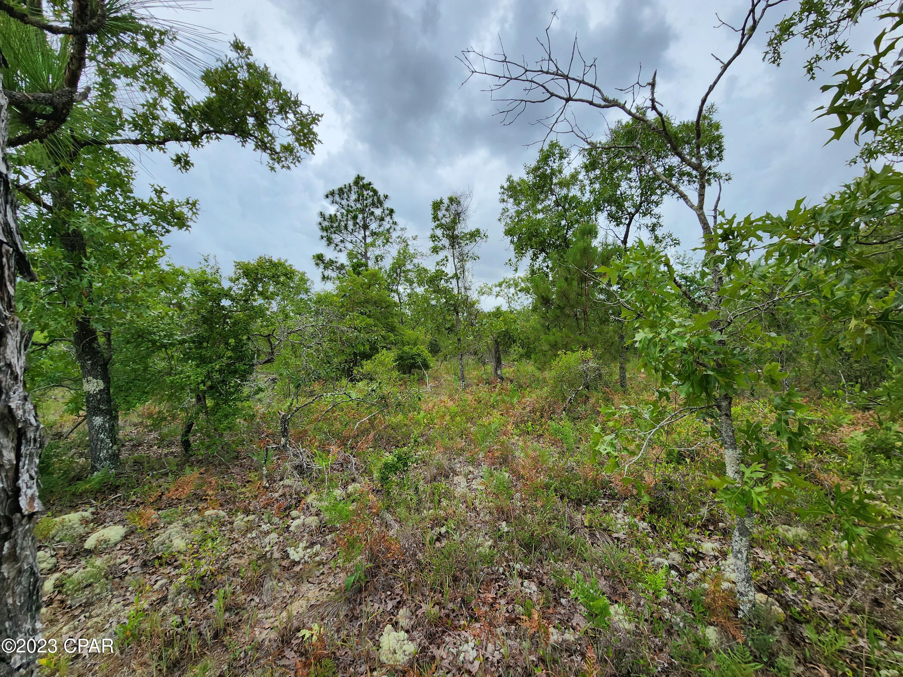 Oe4hy22u3tvnyoraievfox47wnvcjzt7sy7f_wrb4si