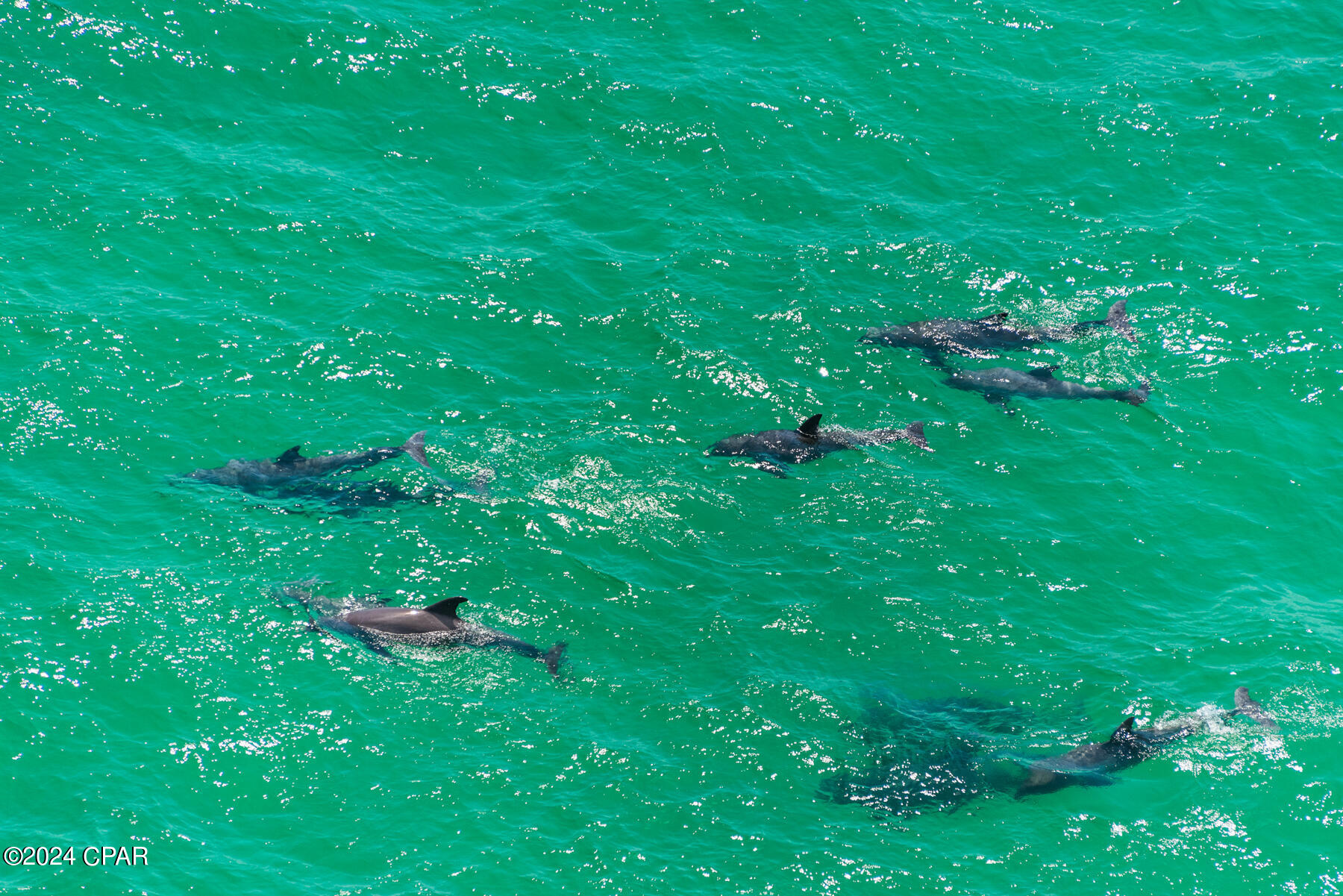 Kclzchad_uyzgedpjyxiucyjcx D7z2uhs5ep8rcw0m