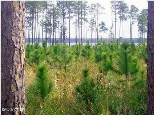 Eg3pvsemh7k5lojge48cgze645nxnanj5yp6oj55yo4