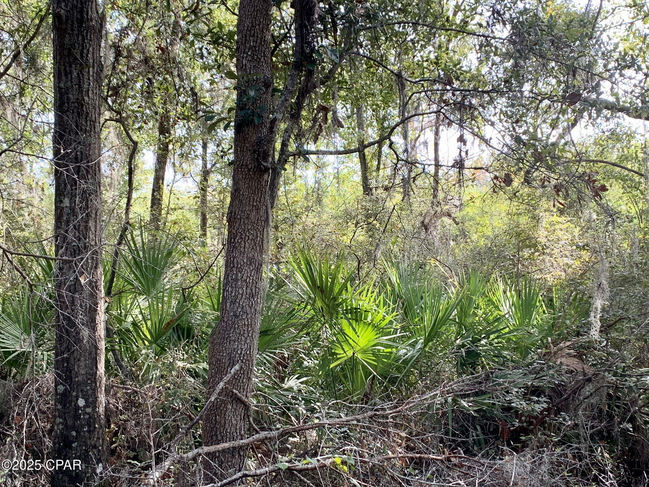 Yqkcfj4palcz9azos00jgauhf3xgit_tiks8x5xxg7q