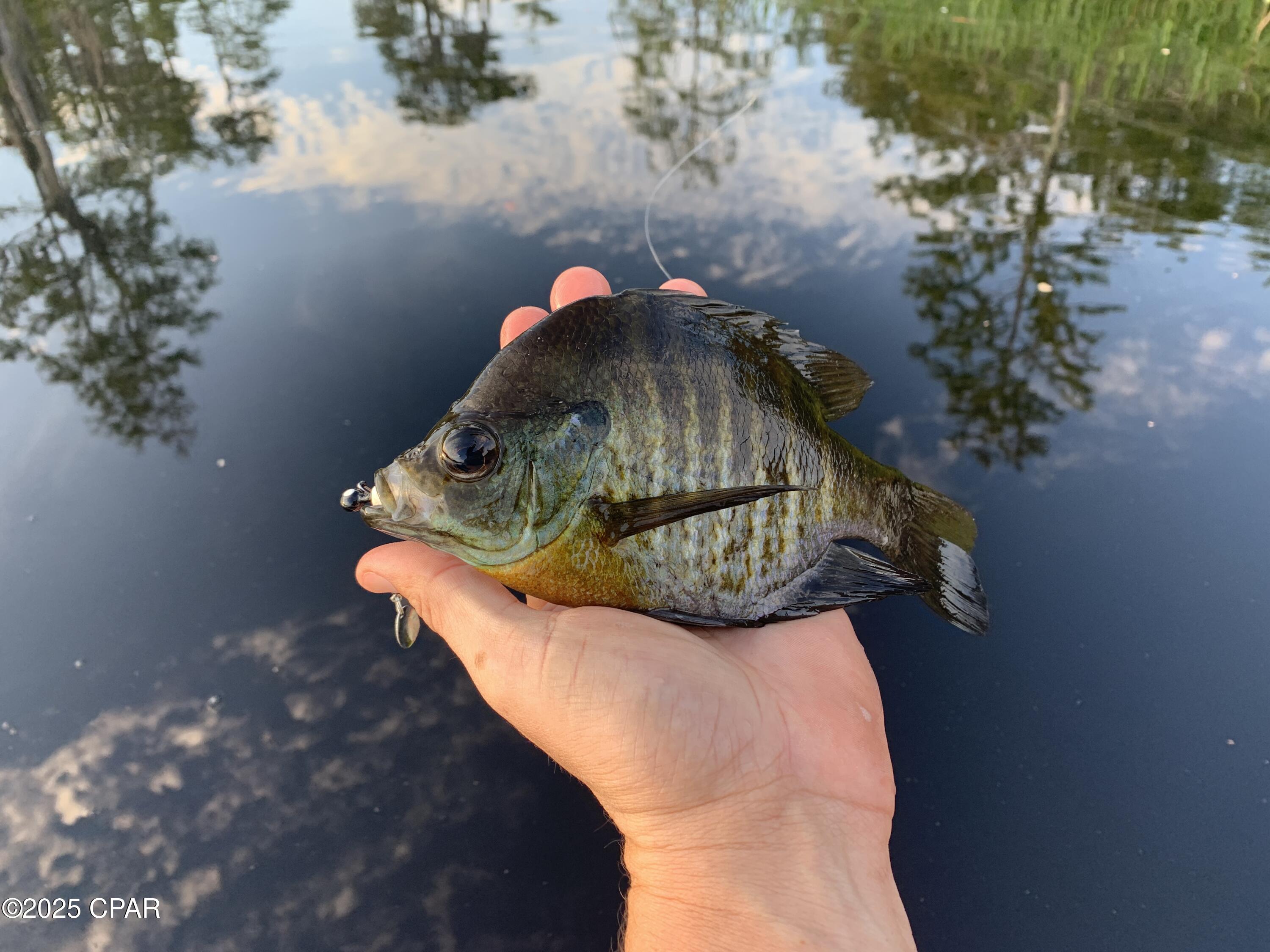 8dabc T7ecgpus1zhpsfmbgv1obgoffwrw7hmvryykc