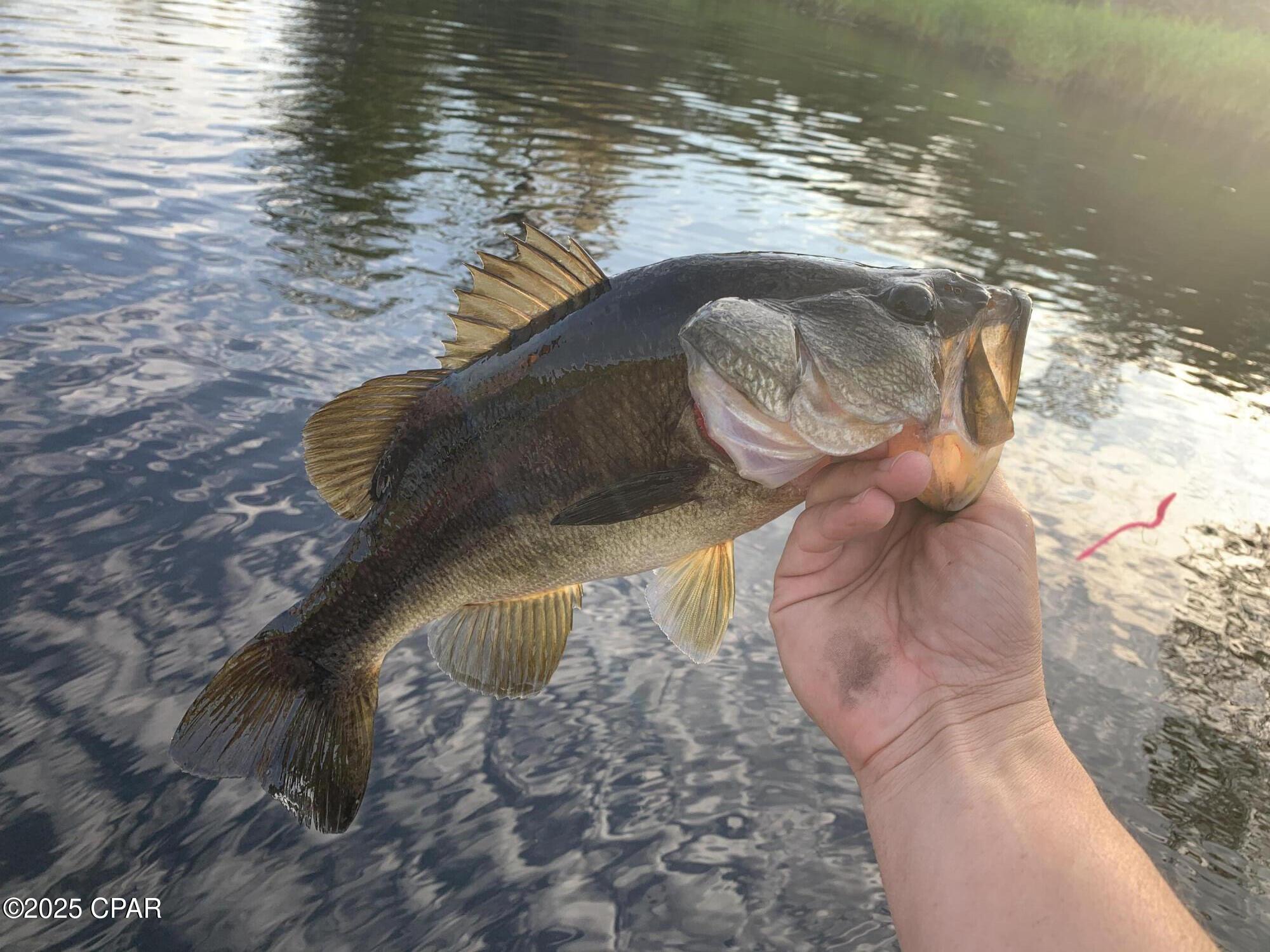 Ny8whx5a7wvx3lcno6gzhkln_6oblsjitguvle6e5s8