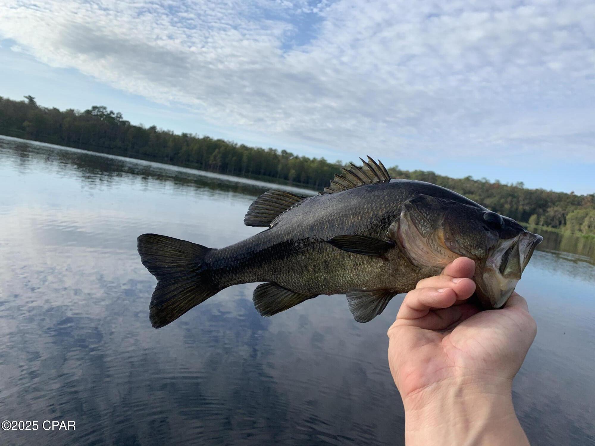 Ynfjd6xcfizj3admmfk368wetkumzq3qunv2b5gtdpc