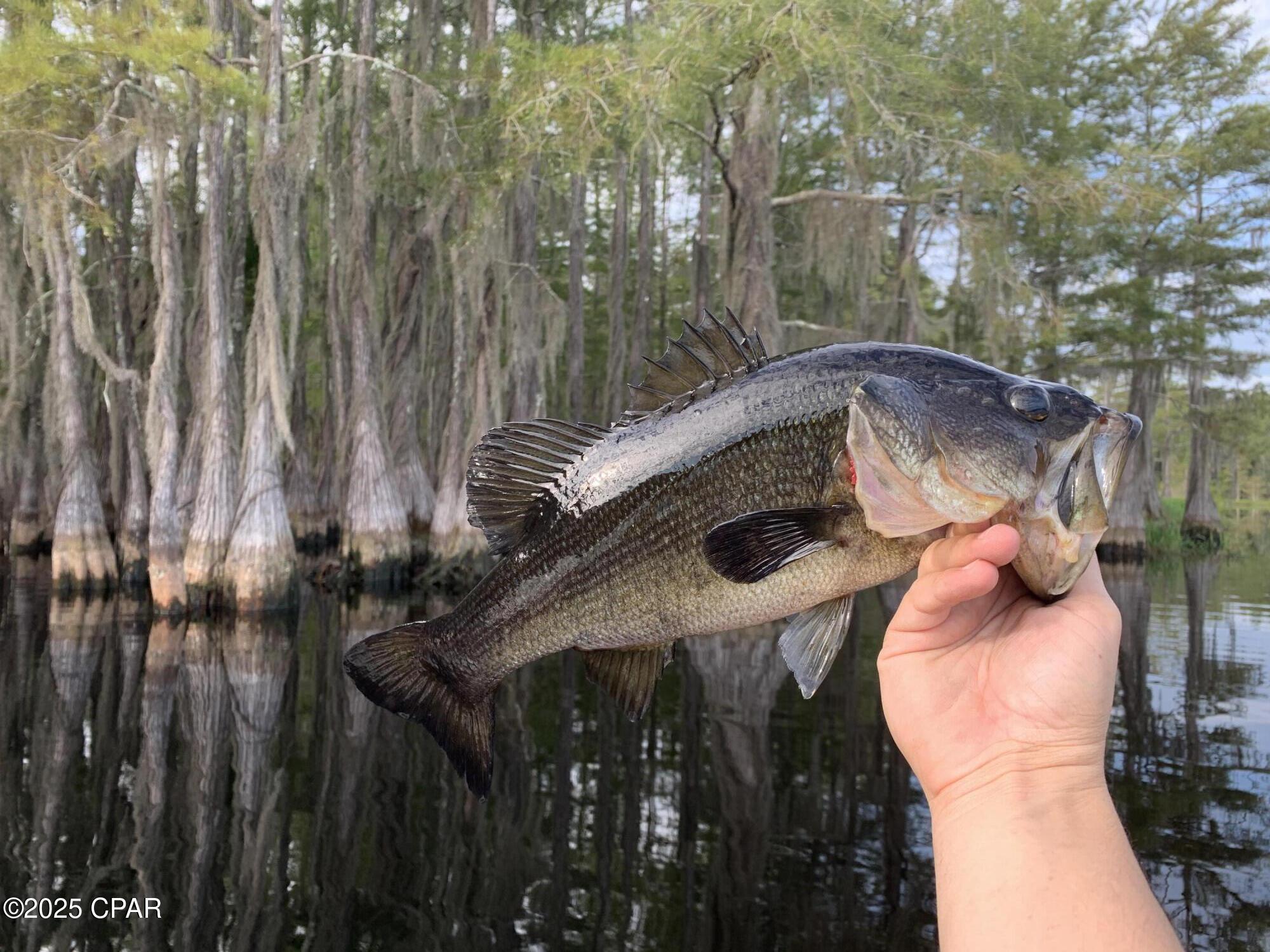 Hkwgo8l2qjurwe8ja9b8n2ht_tswu2xcrjcgch3zkna